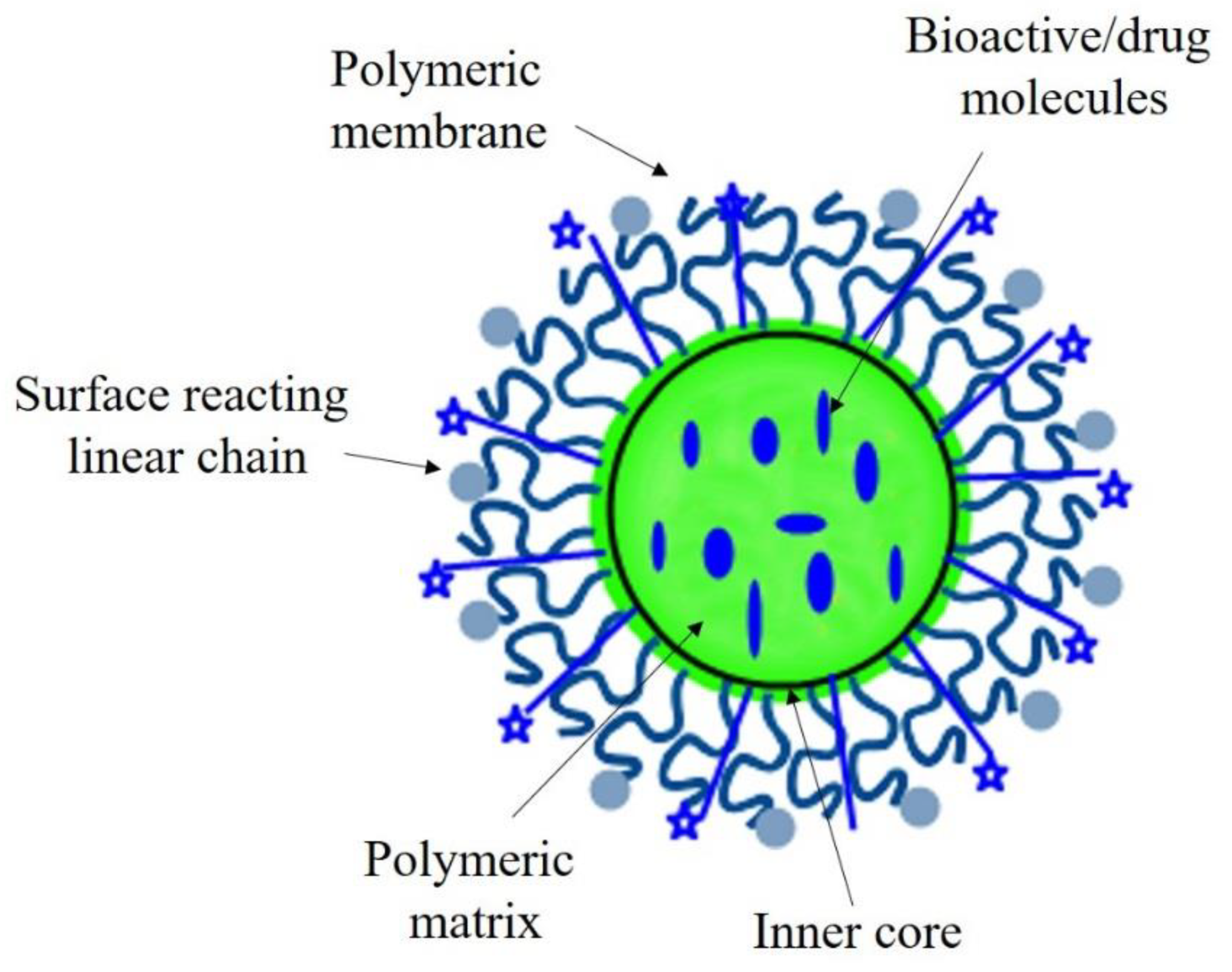 Nanomaterials 10 02019 g006