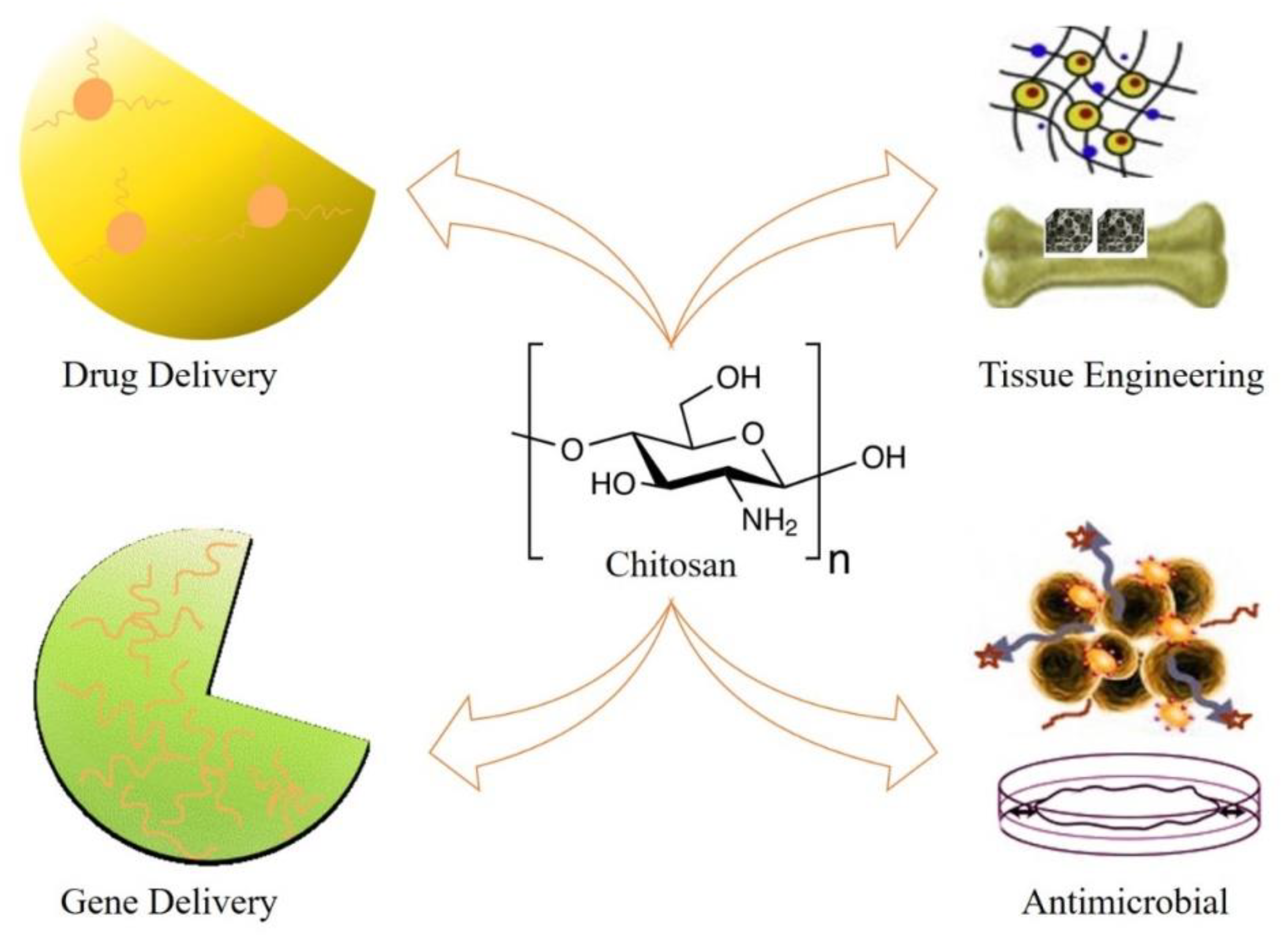 Nanomaterials 10 02019 g007