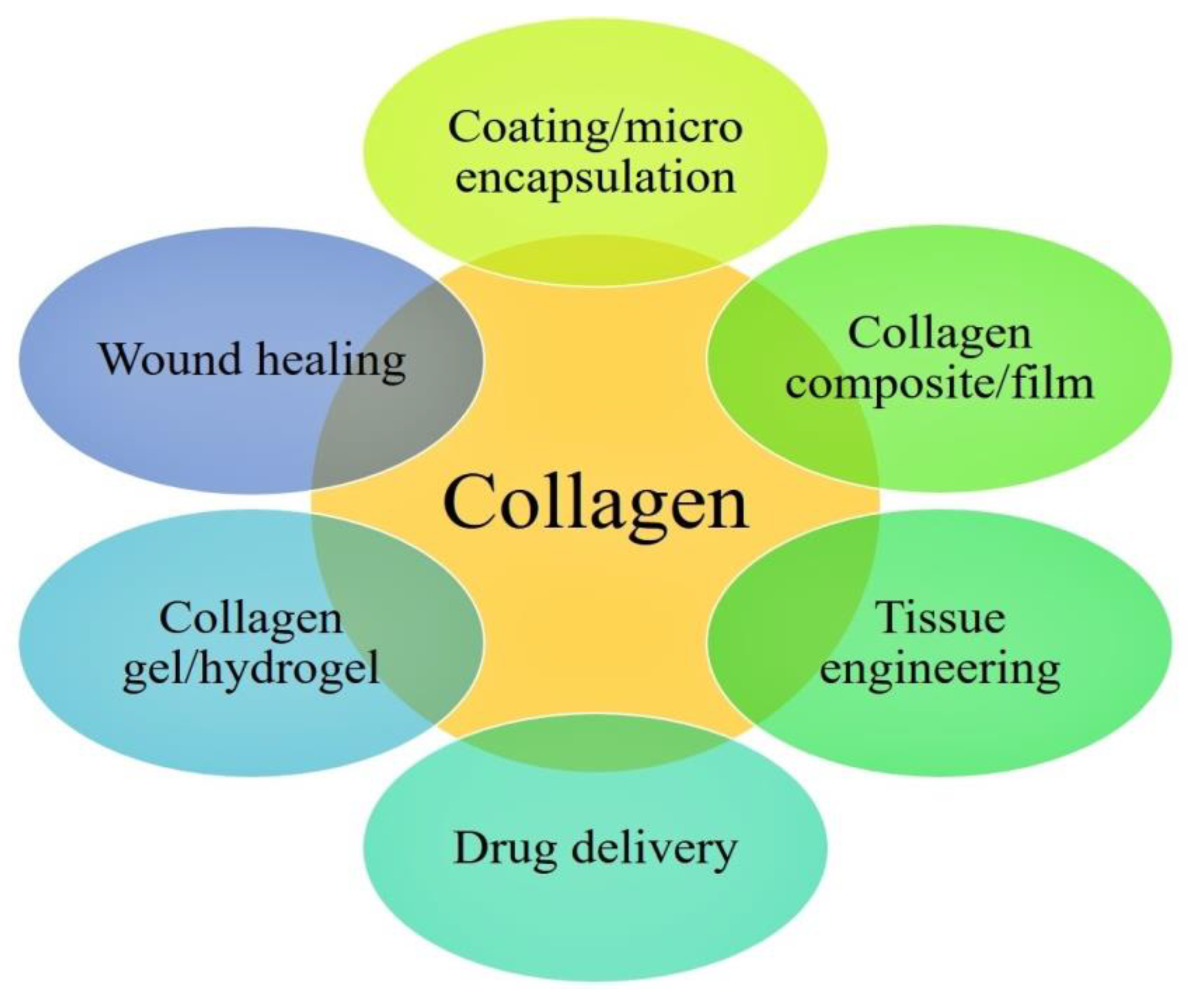 Nanomaterials 10 02019 g008