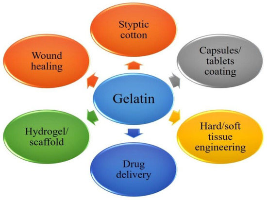 Comprehensive Survey on Nanobiomaterials for Bone Tissue Engineering ...