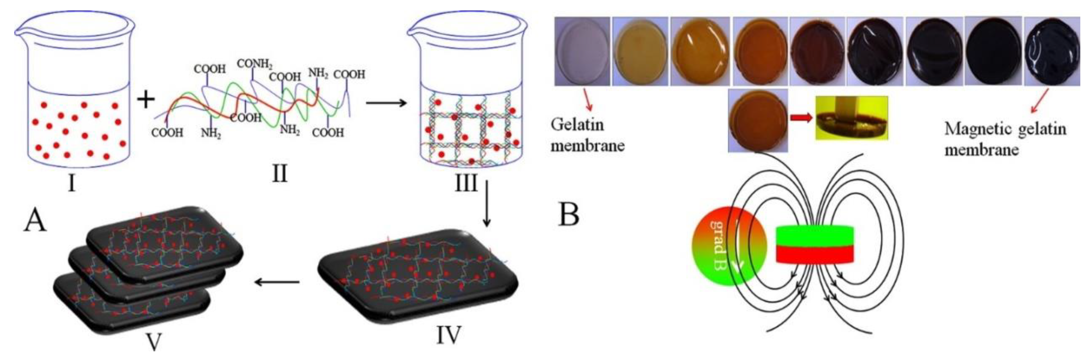 Nanomaterials 10 02019 g010