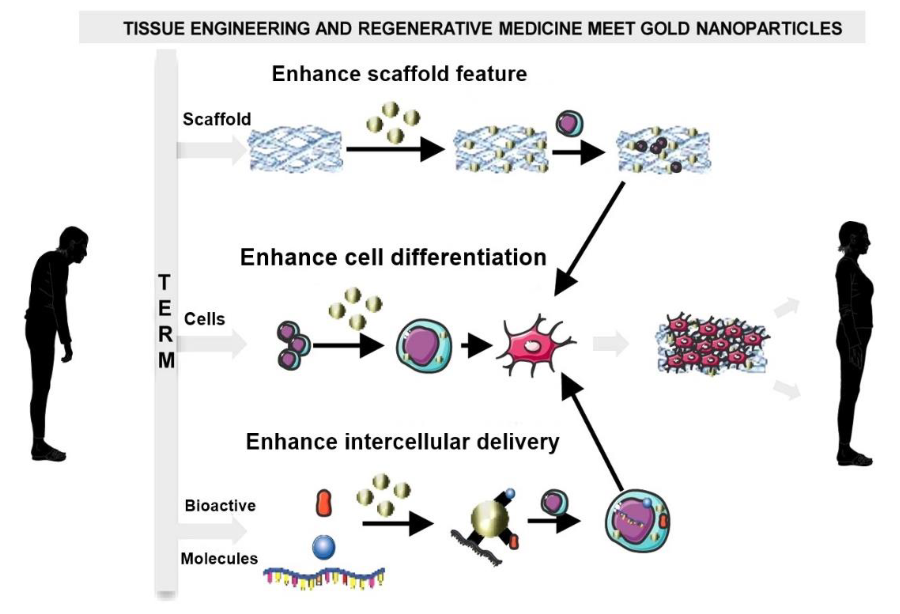 Nanomaterials 10 02019 g017