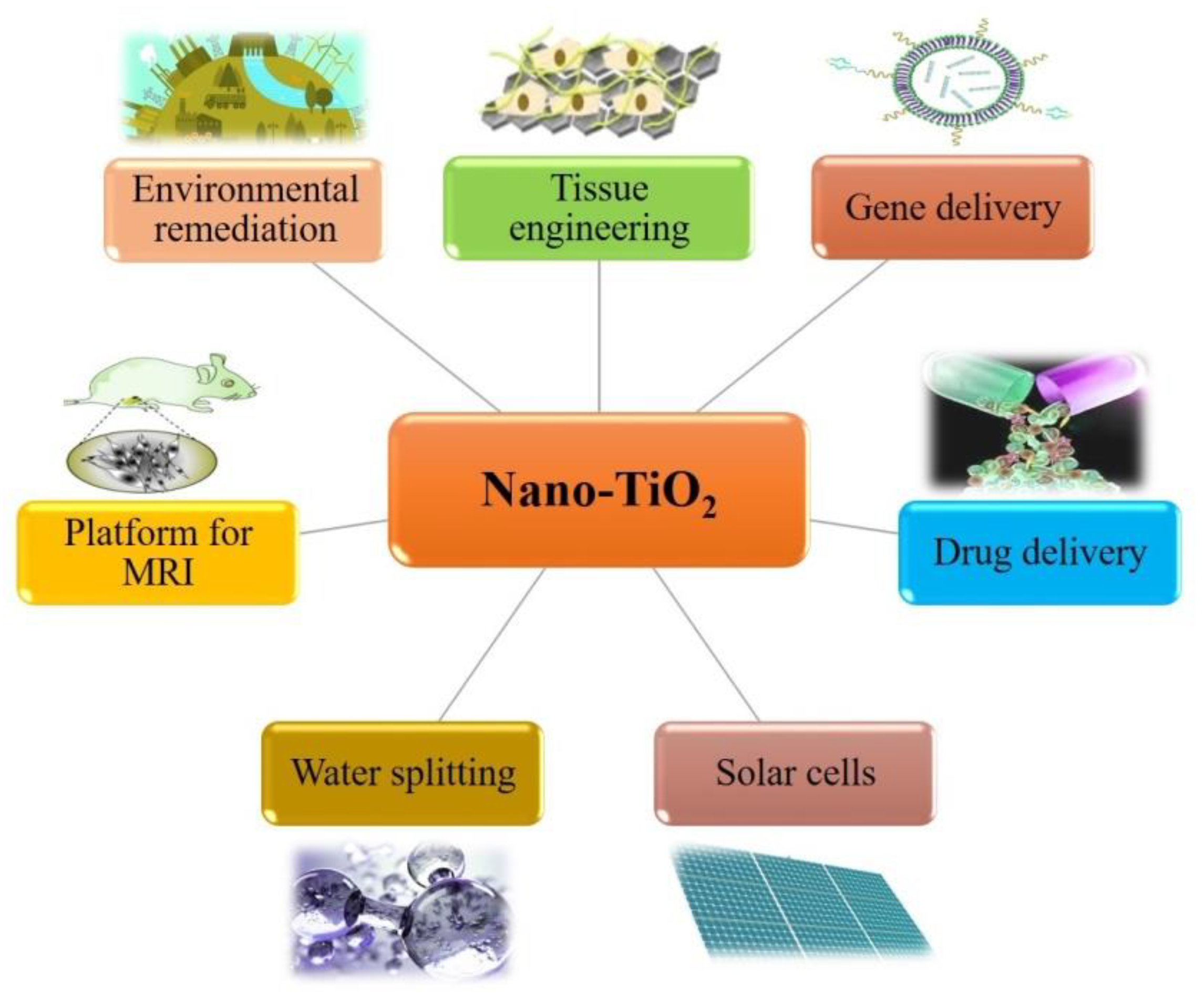 Nanomaterials 10 02019 g018
