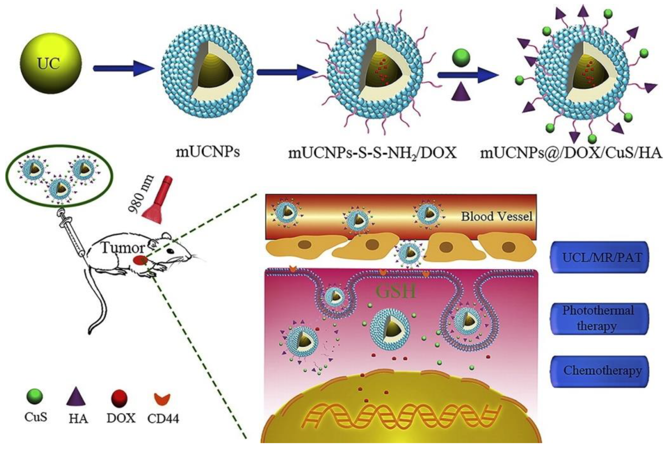 Nanomaterials 10 02019 g020