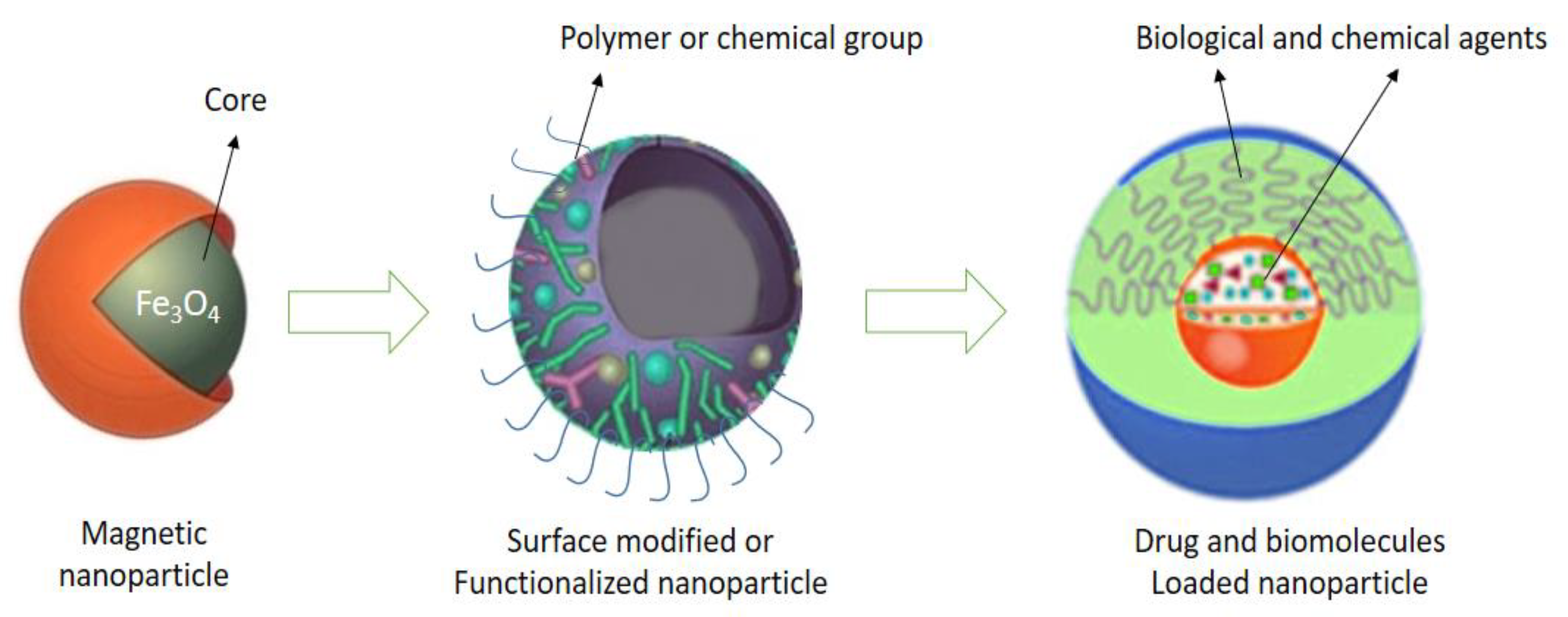 Nanomaterials 10 02019 g021