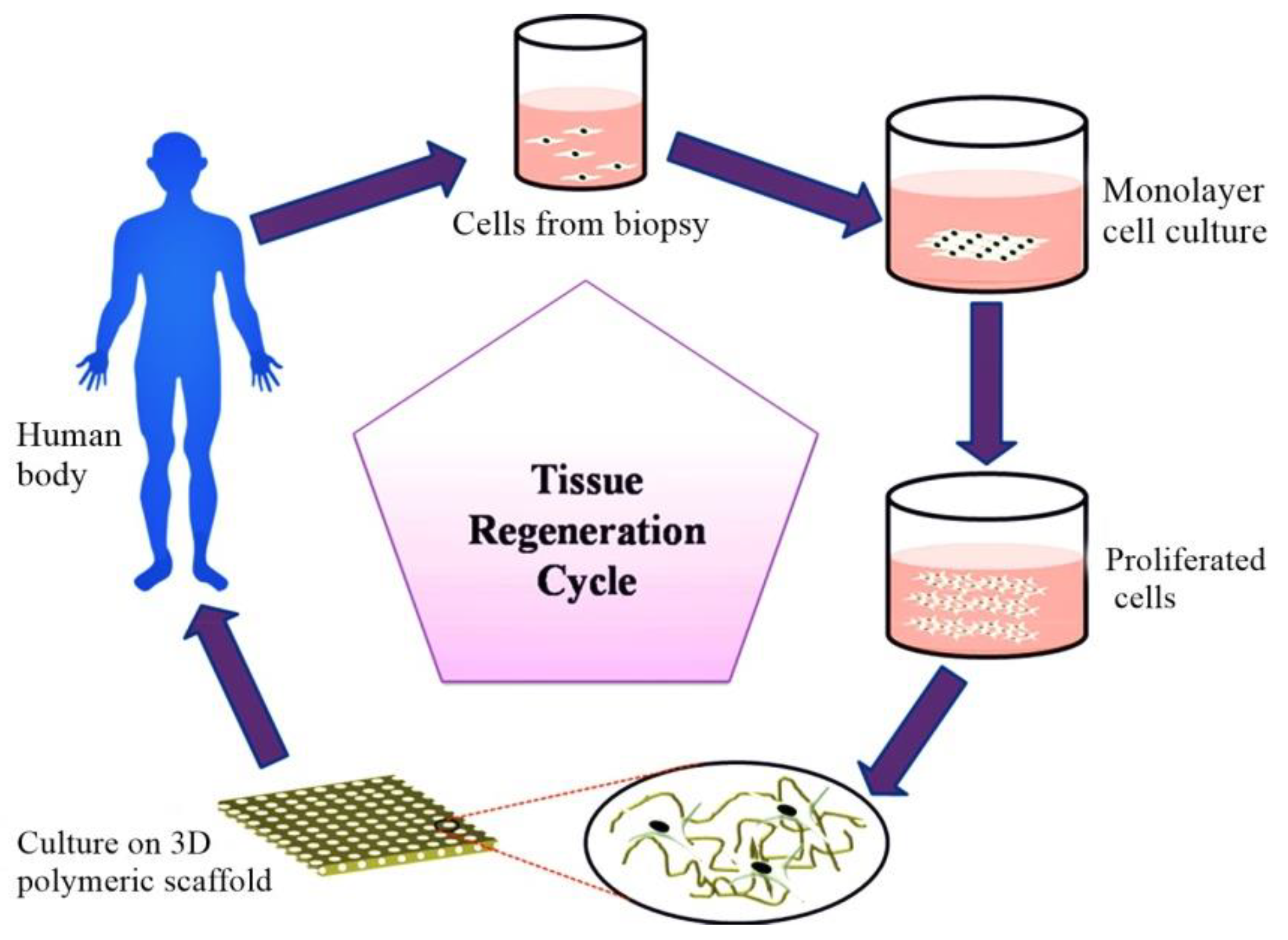 Nanomaterials 10 02019 g023