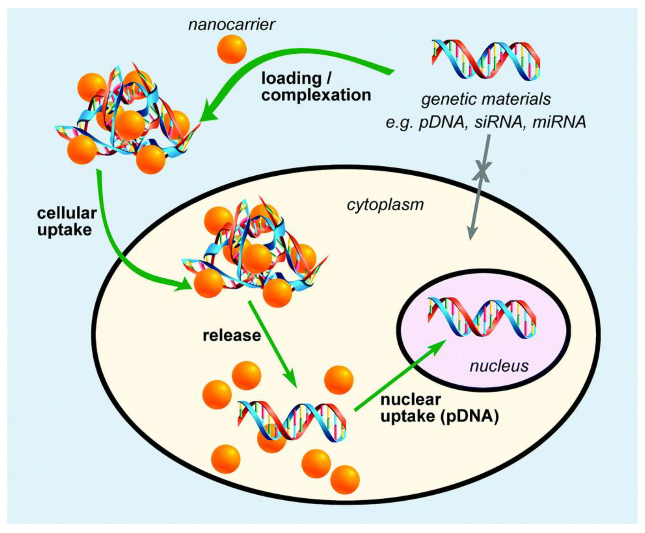 Nanomaterials 10 02019 g025