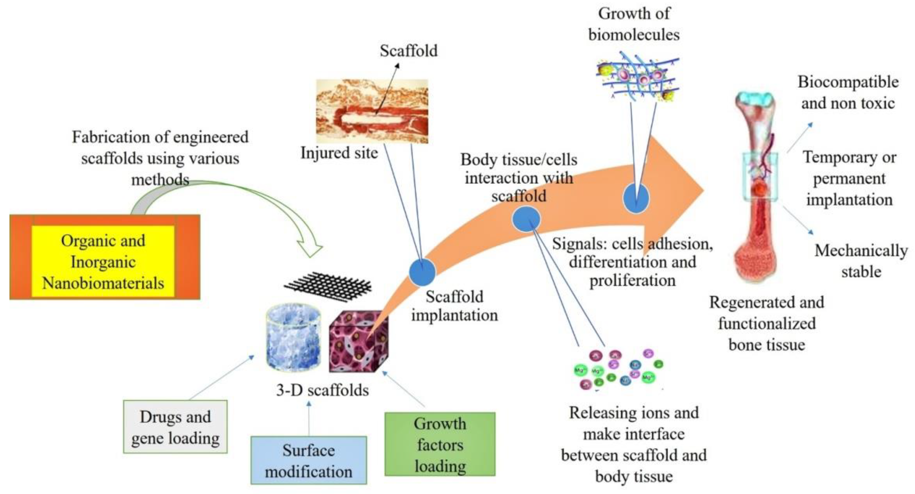 Nanomaterials 10 02019 g028