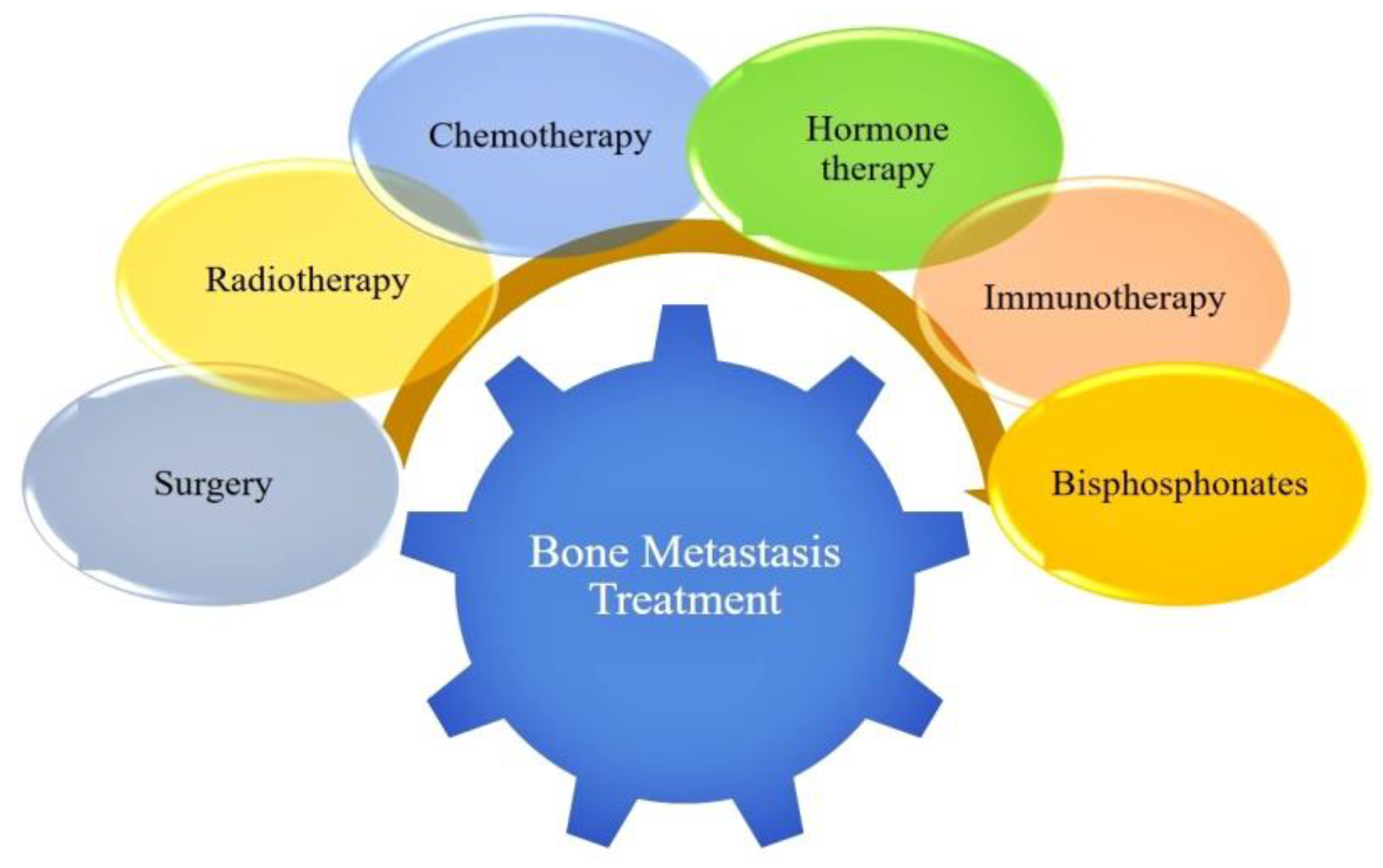 Nanomaterials 10 02019 g029