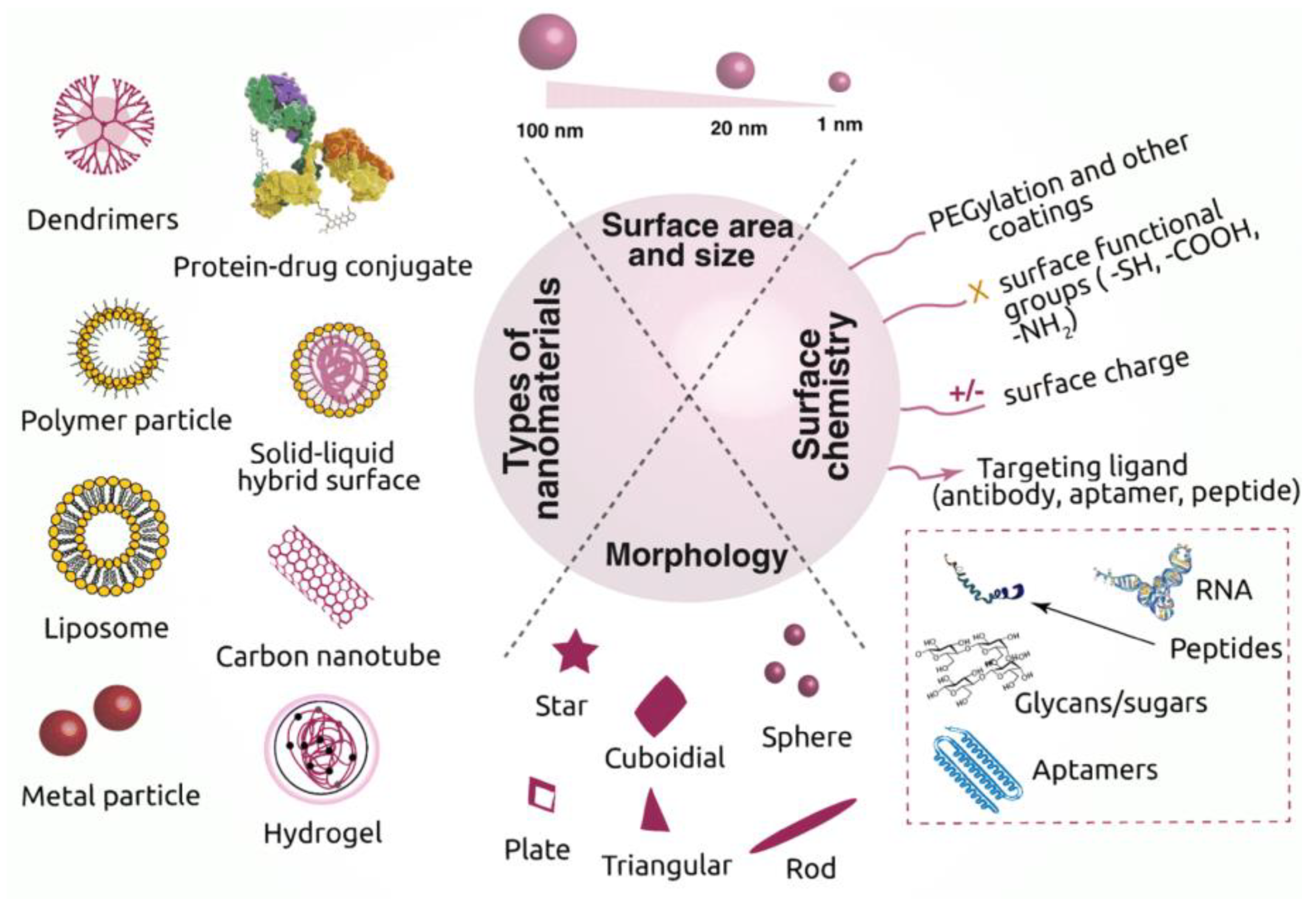 Nanomaterials 10 02019 g030