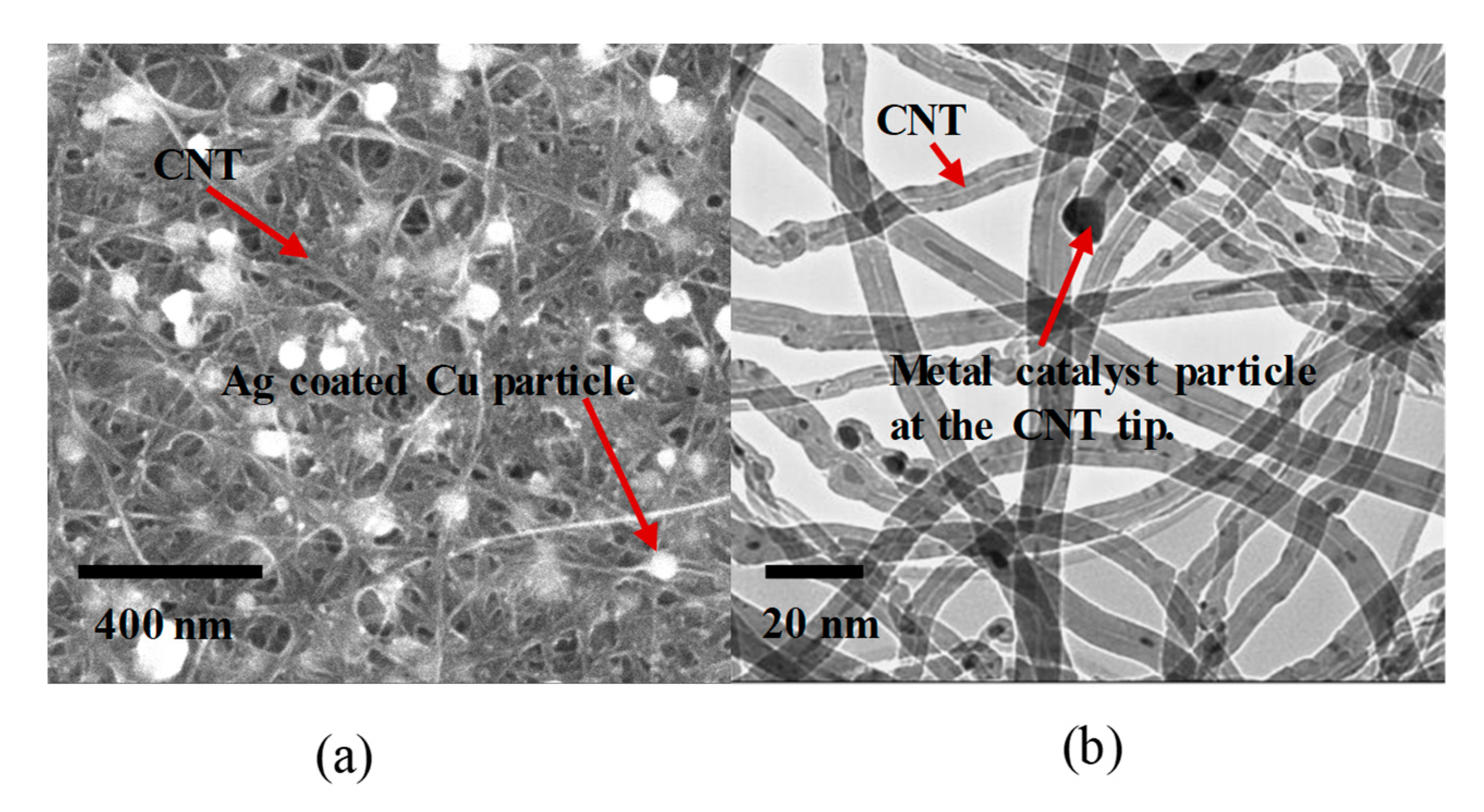 Nanomaterials 10 02023 g003