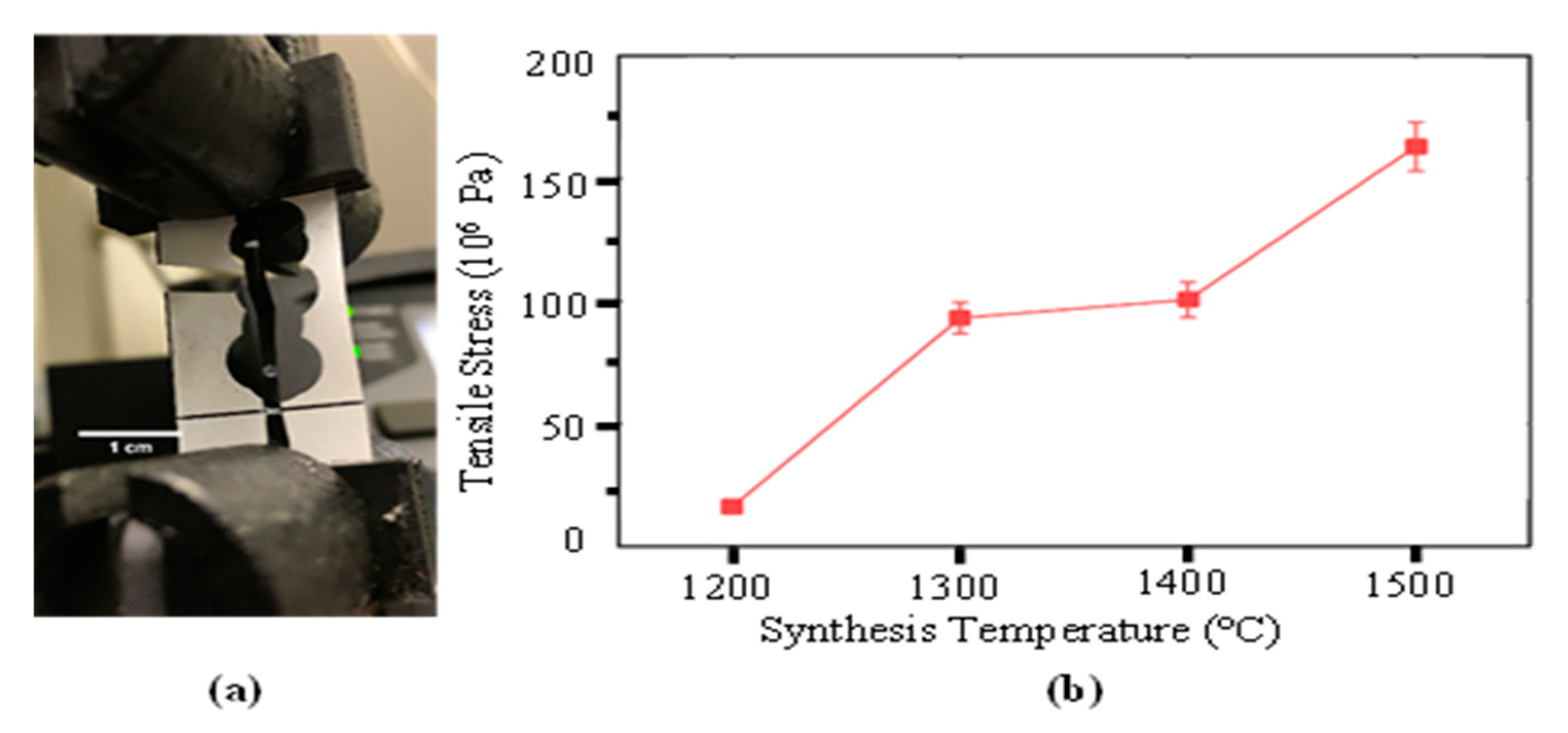 Nanomaterials 10 02023 g006