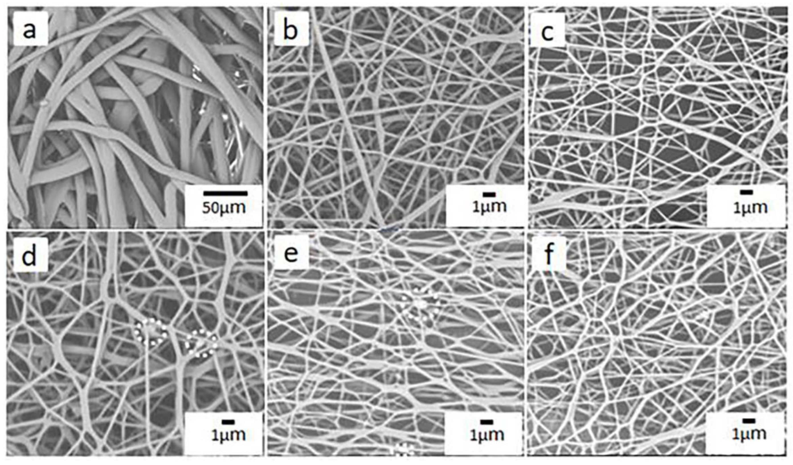 Nanomaterials 10 02025 g003
