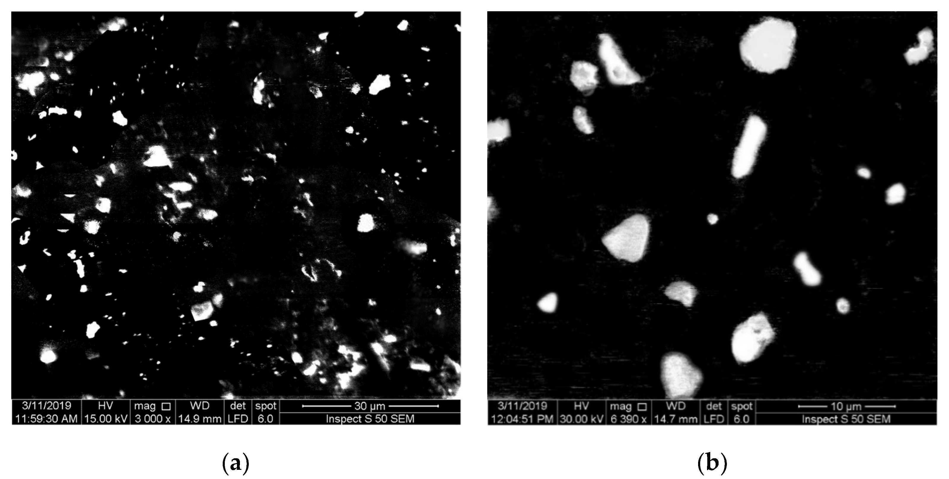Nanomaterials 10 02028 g002