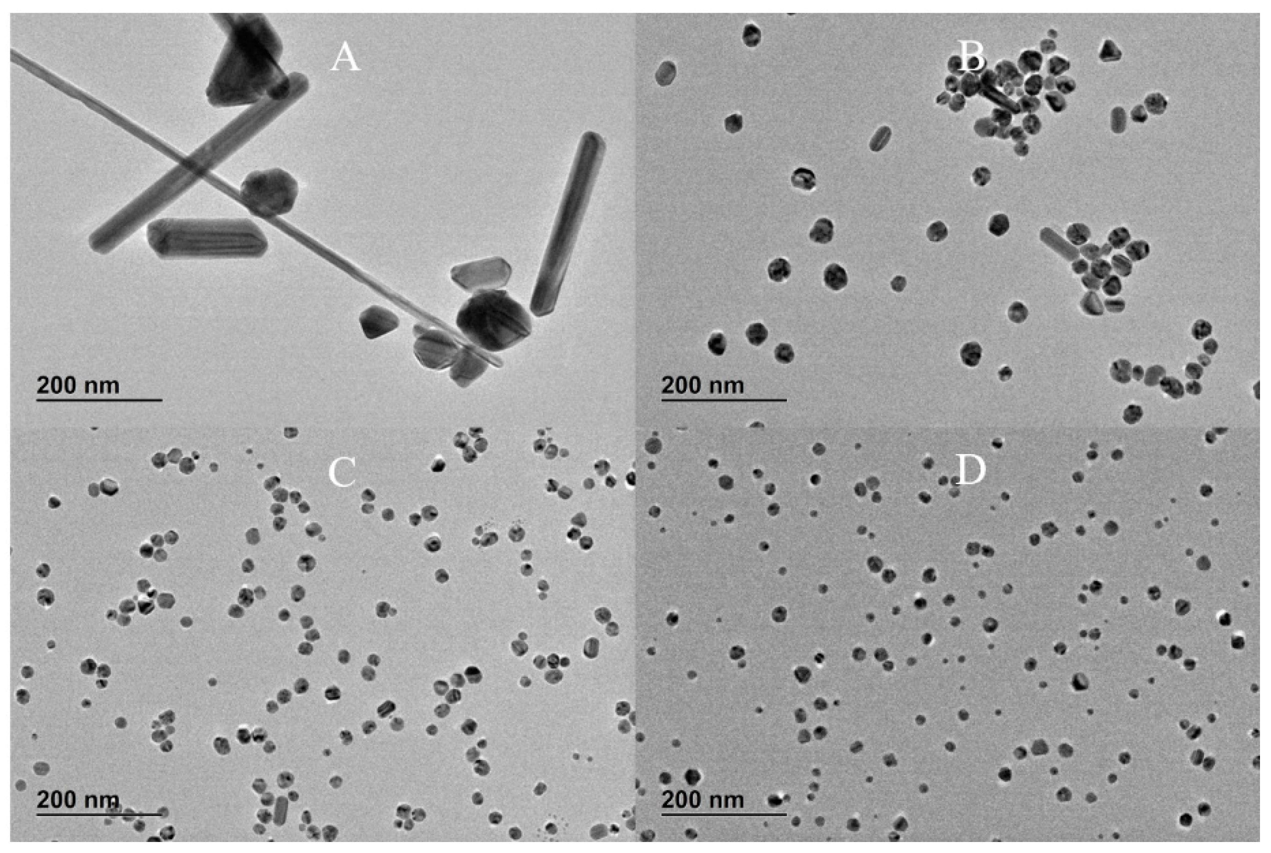 Nanomaterials 10 02031 g002