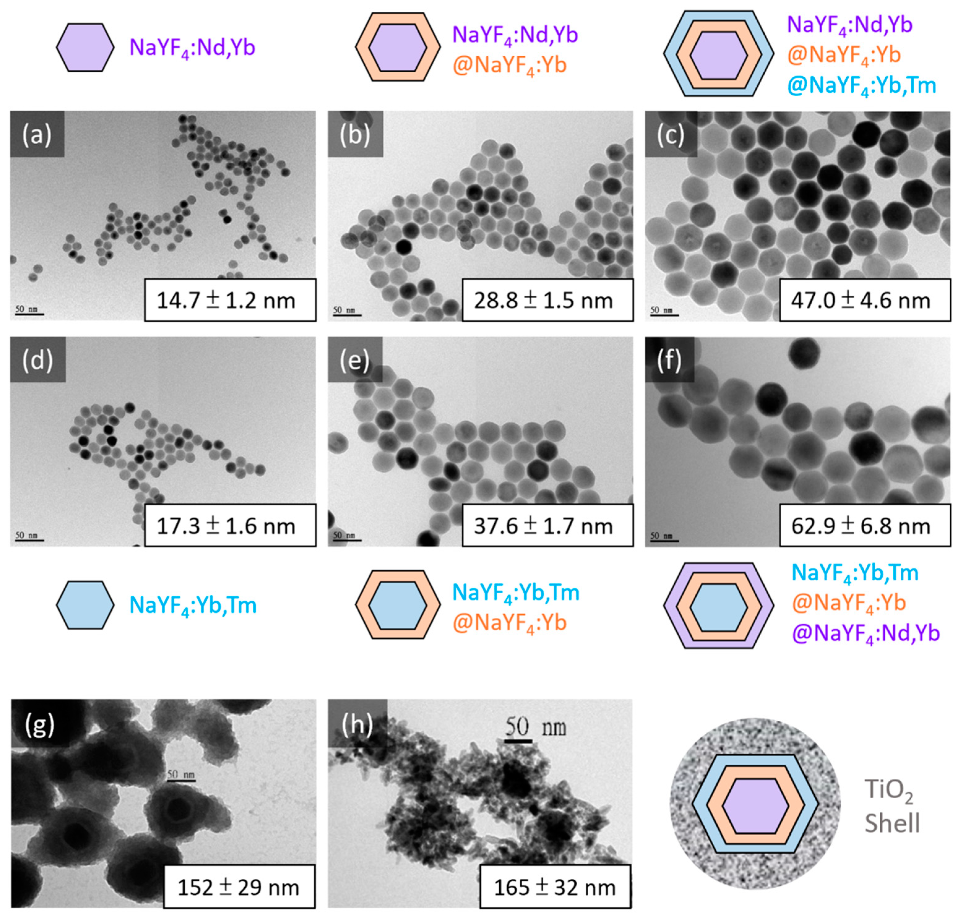 Nanomaterials 10 02035 g001