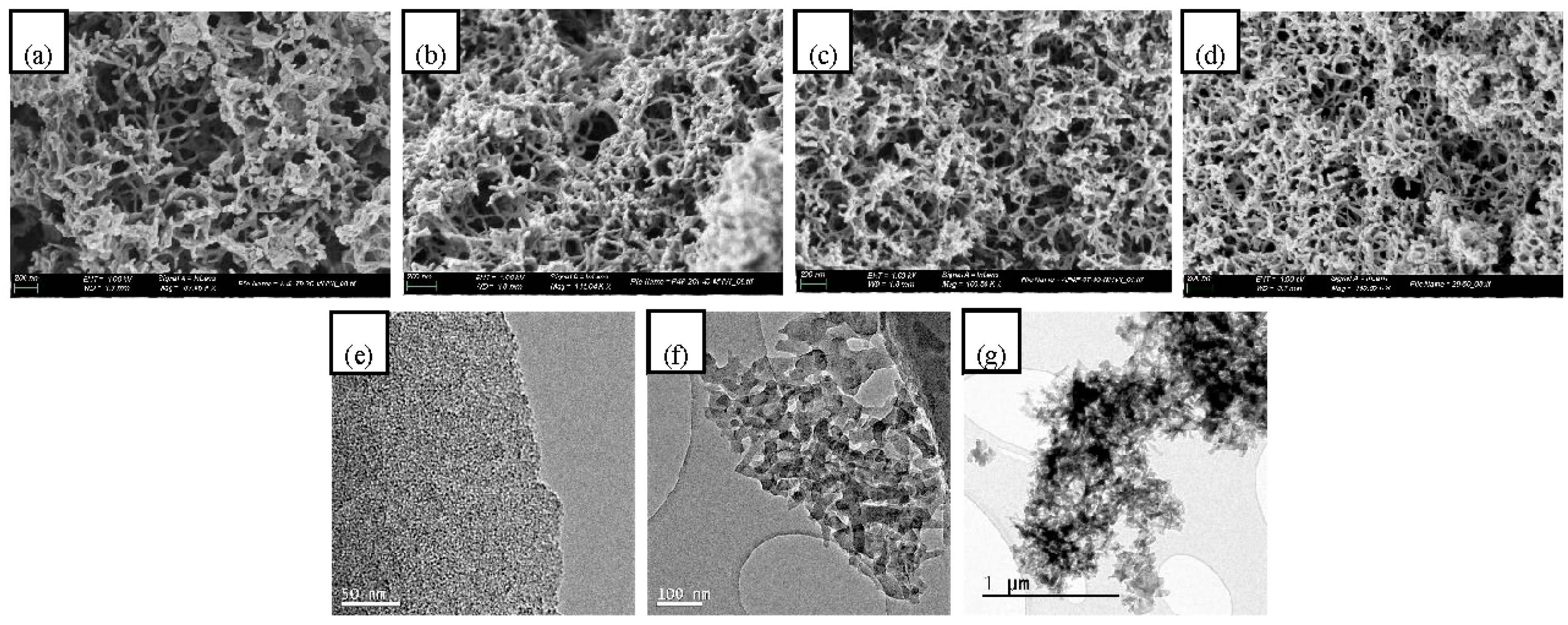Nanomaterials 10 02036 g003
