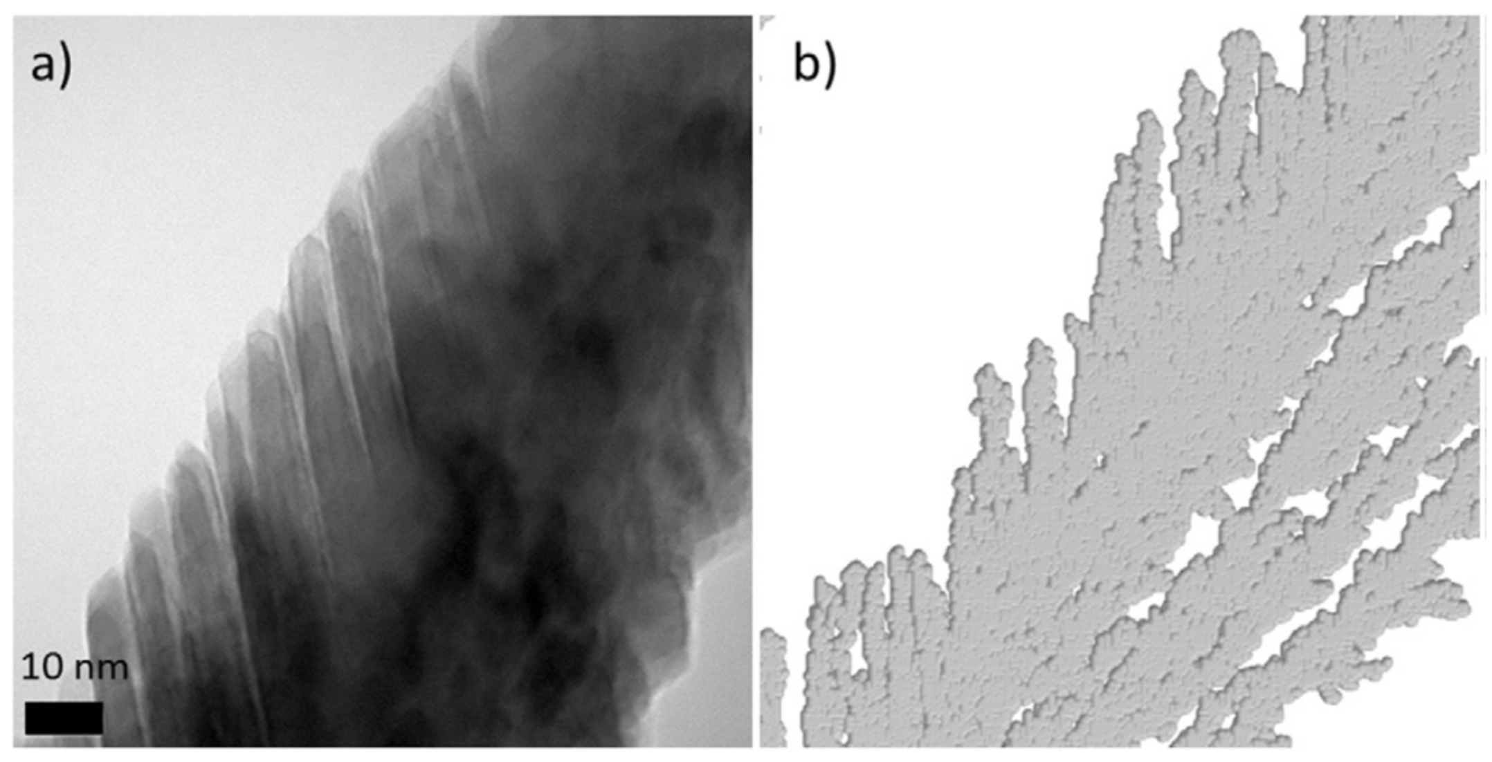 Nanomaterials 10 02039 g013
