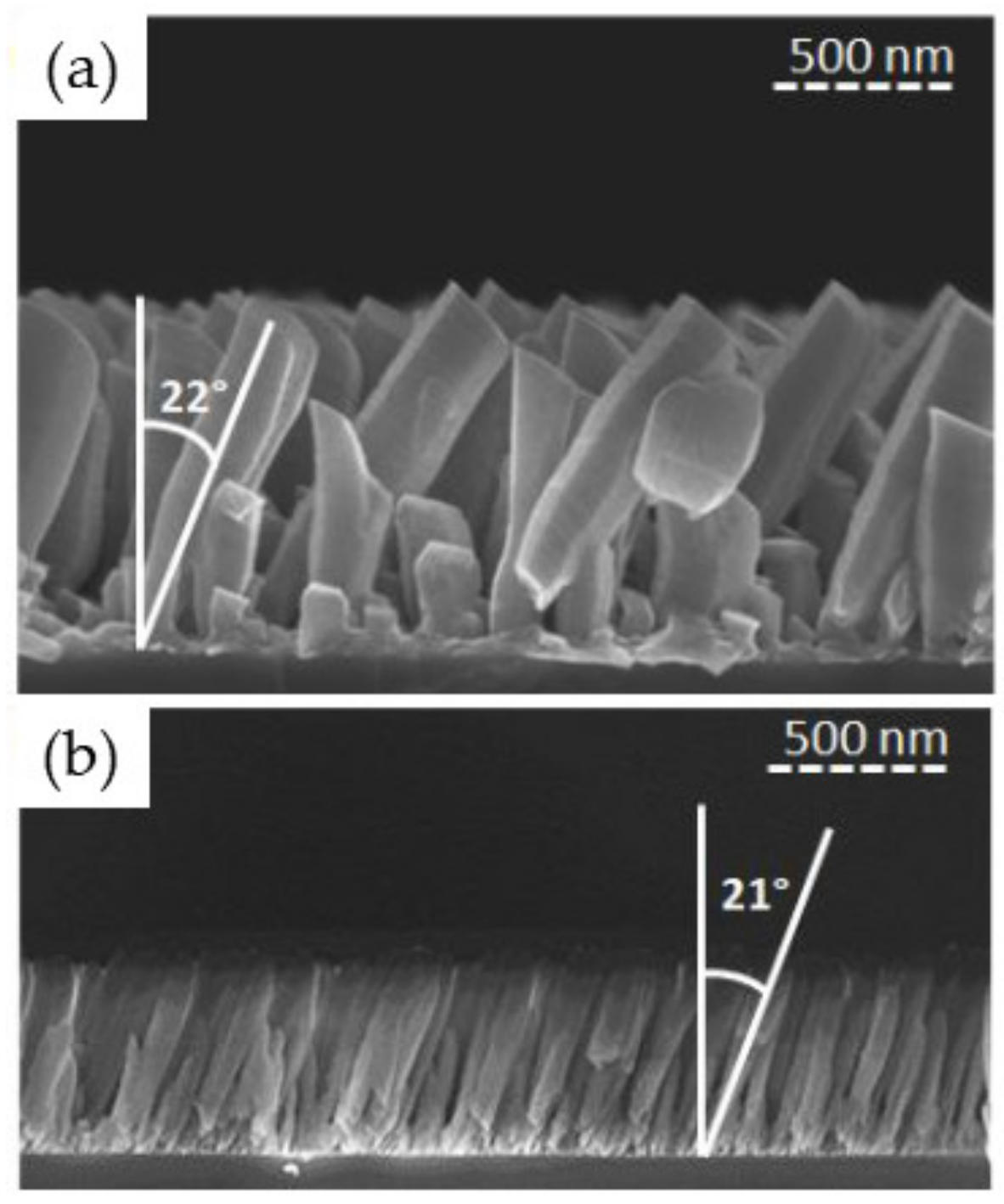 Nanomaterials 10 02039 g015