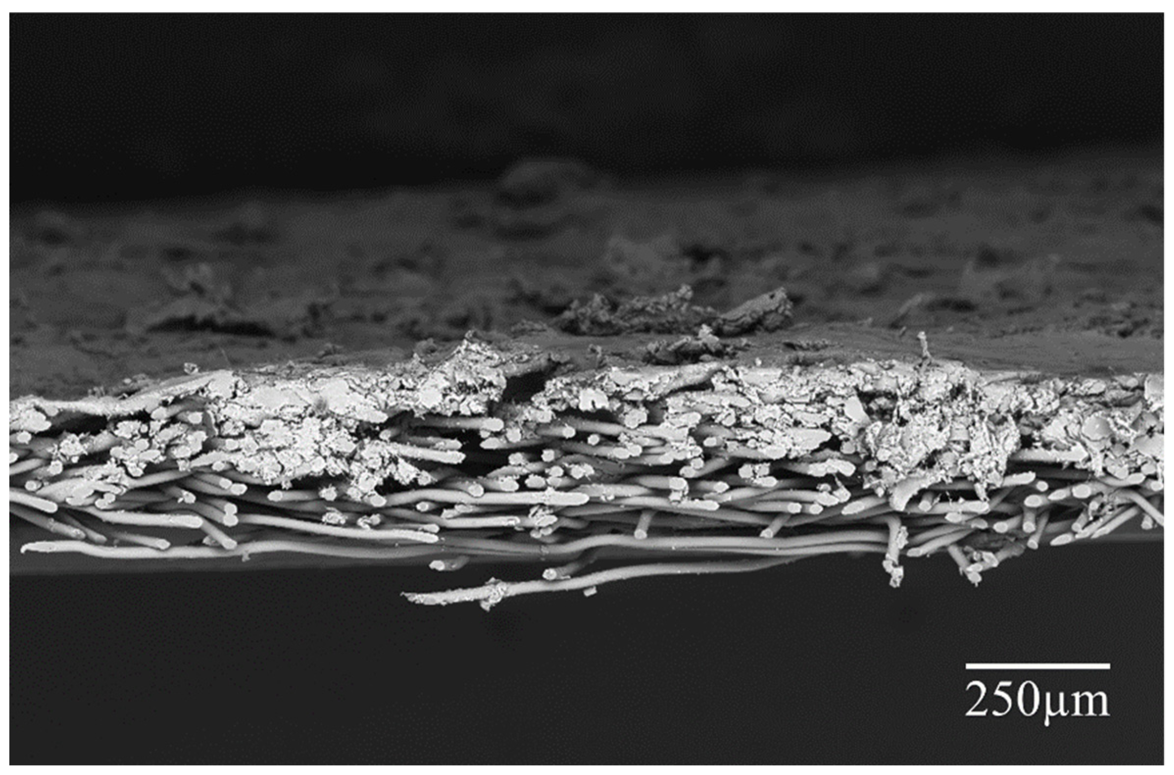 Nanomaterials 10 02042 g002