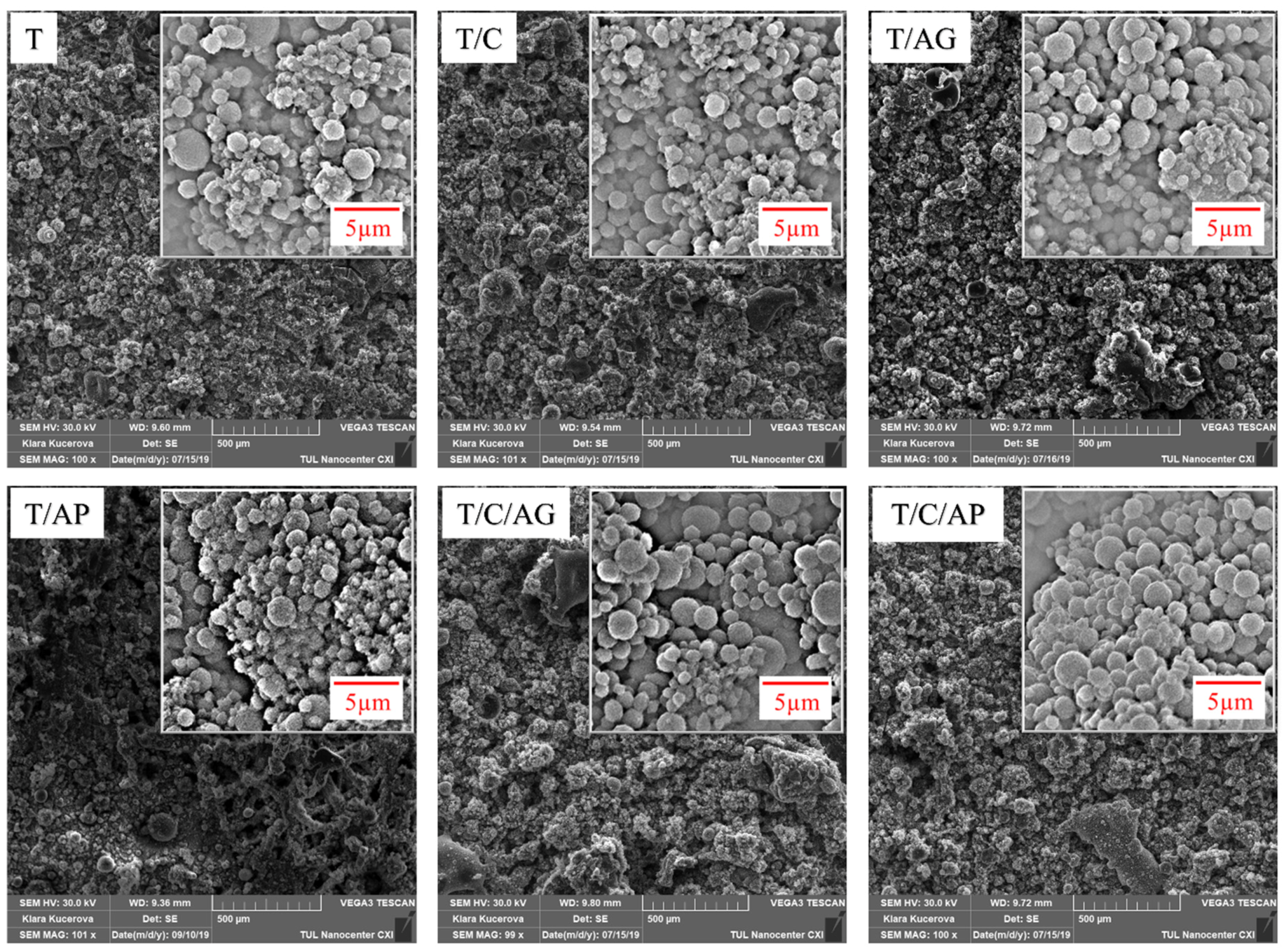 Nanomaterials 10 02042 g003