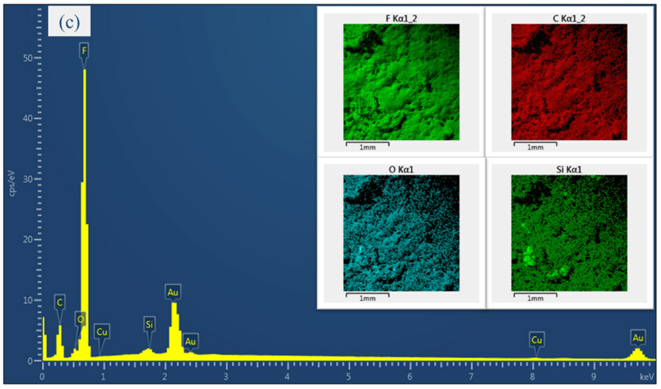Nanomaterials 10 02042 g004b