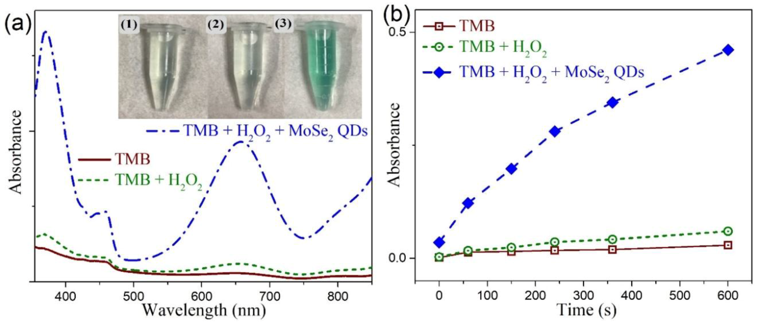 Nanomaterials 10 02045 g008