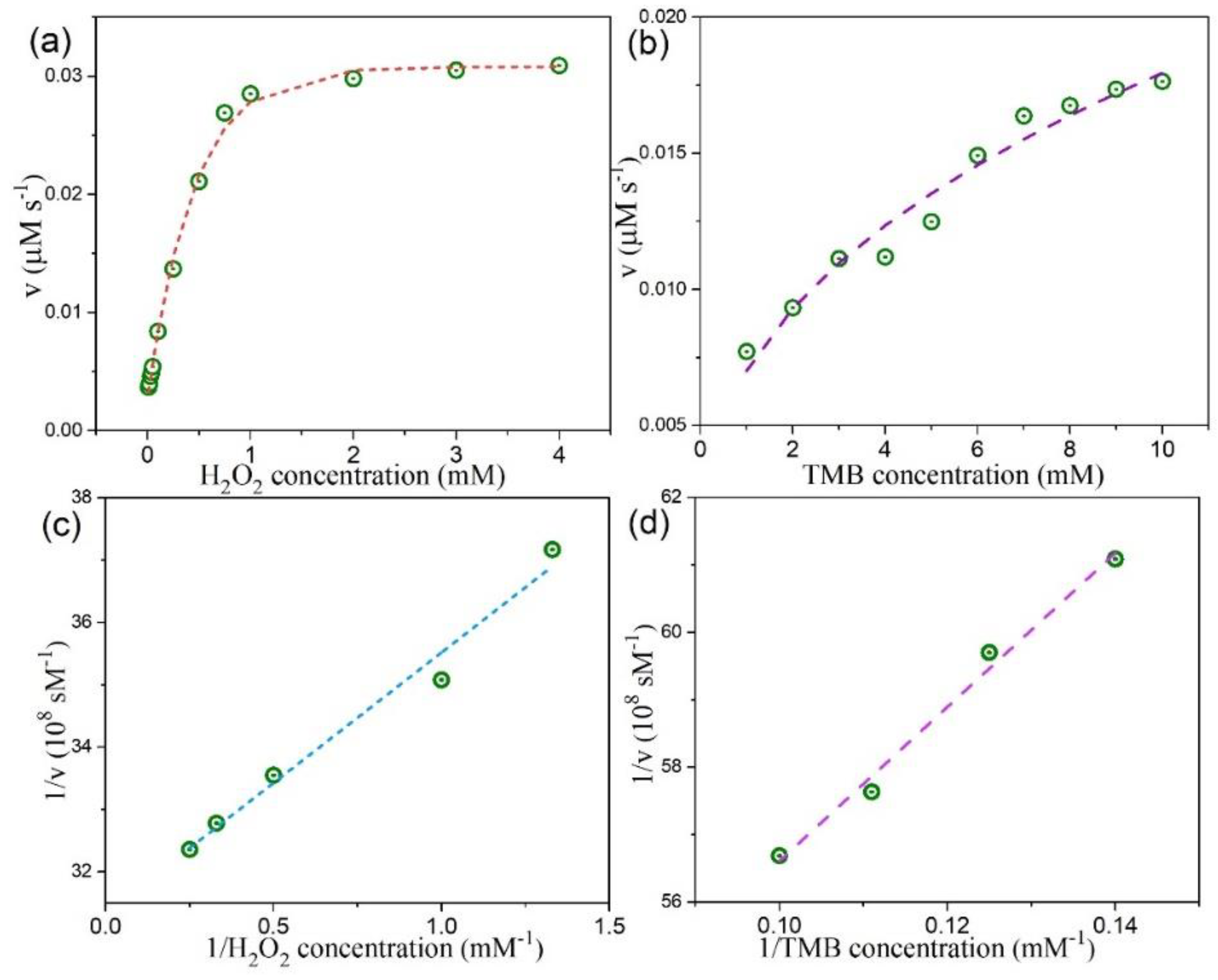 Nanomaterials 10 02045 g010