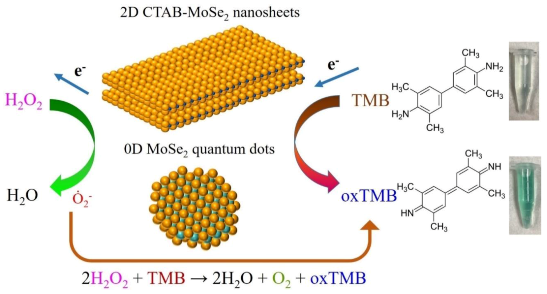 Nanomaterials 10 02045 g012