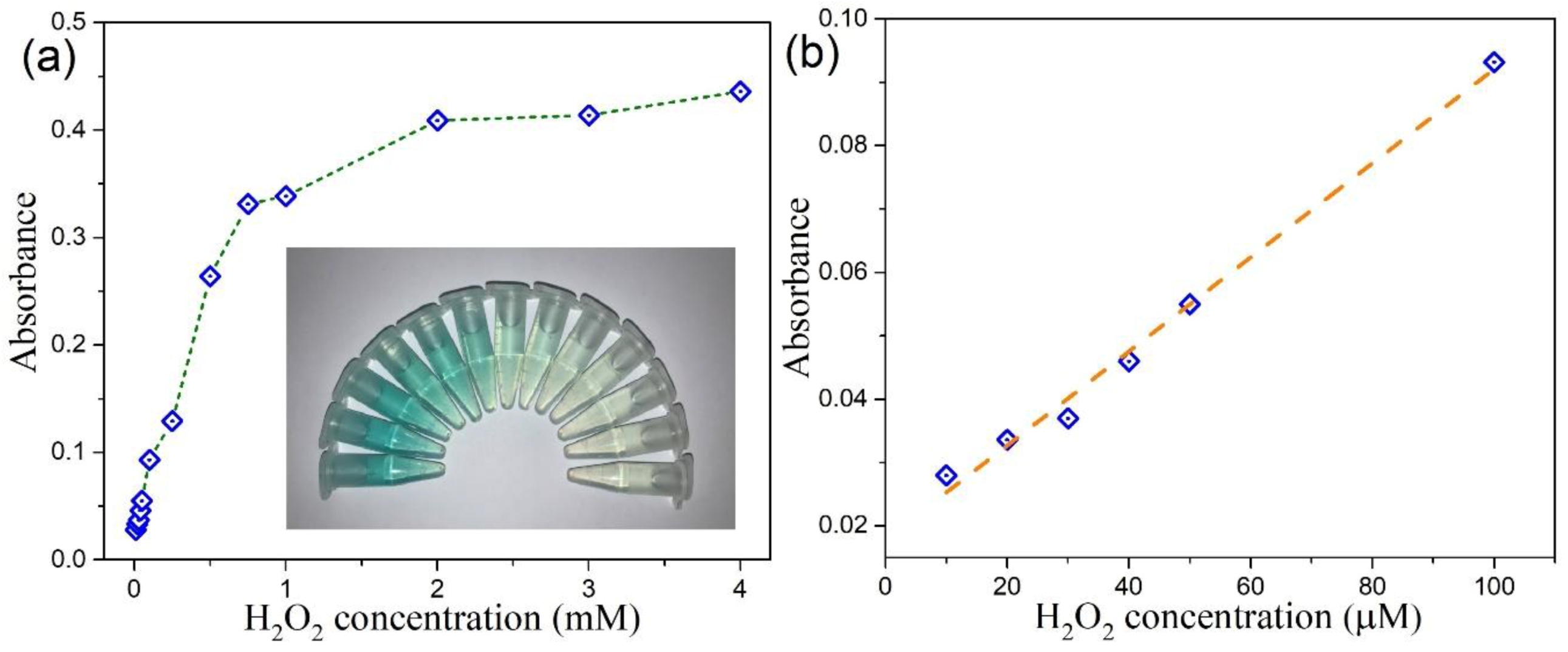 Nanomaterials 10 02045 g013