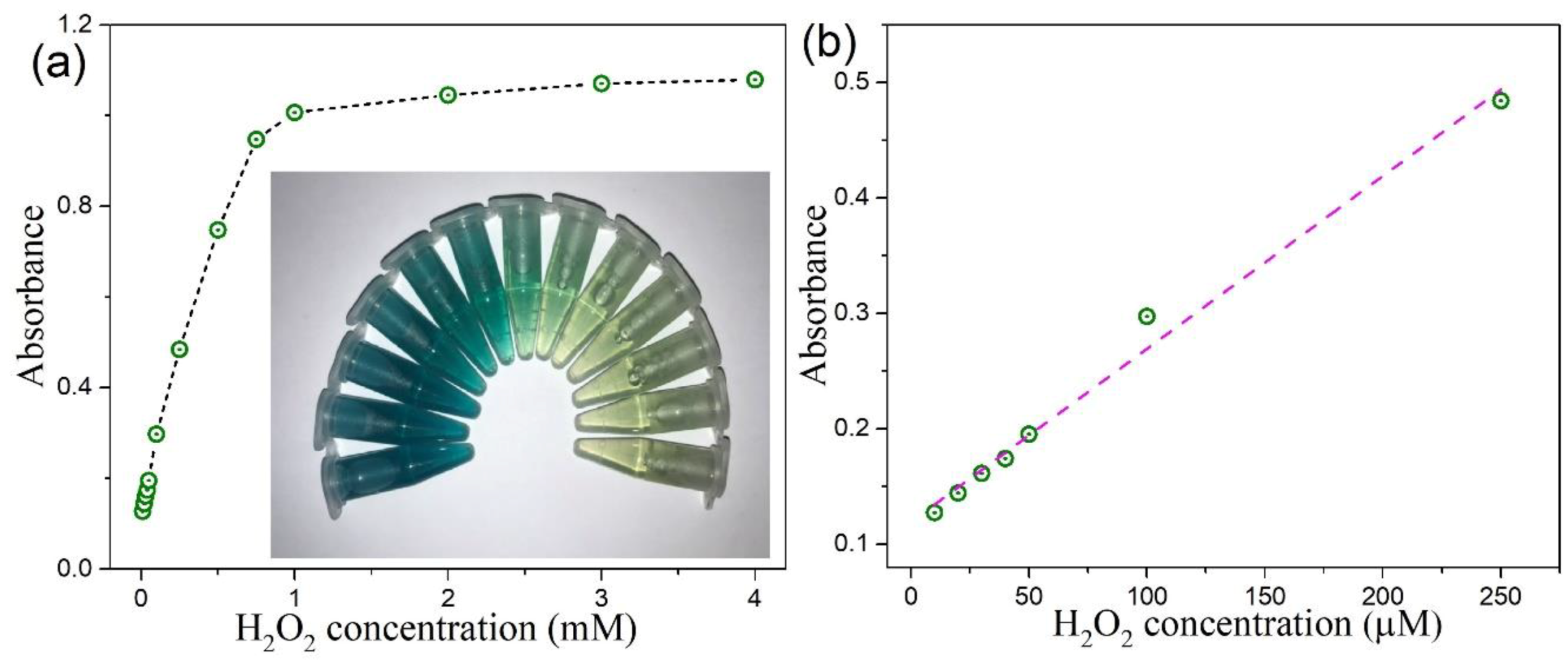 Nanomaterials 10 02045 g014