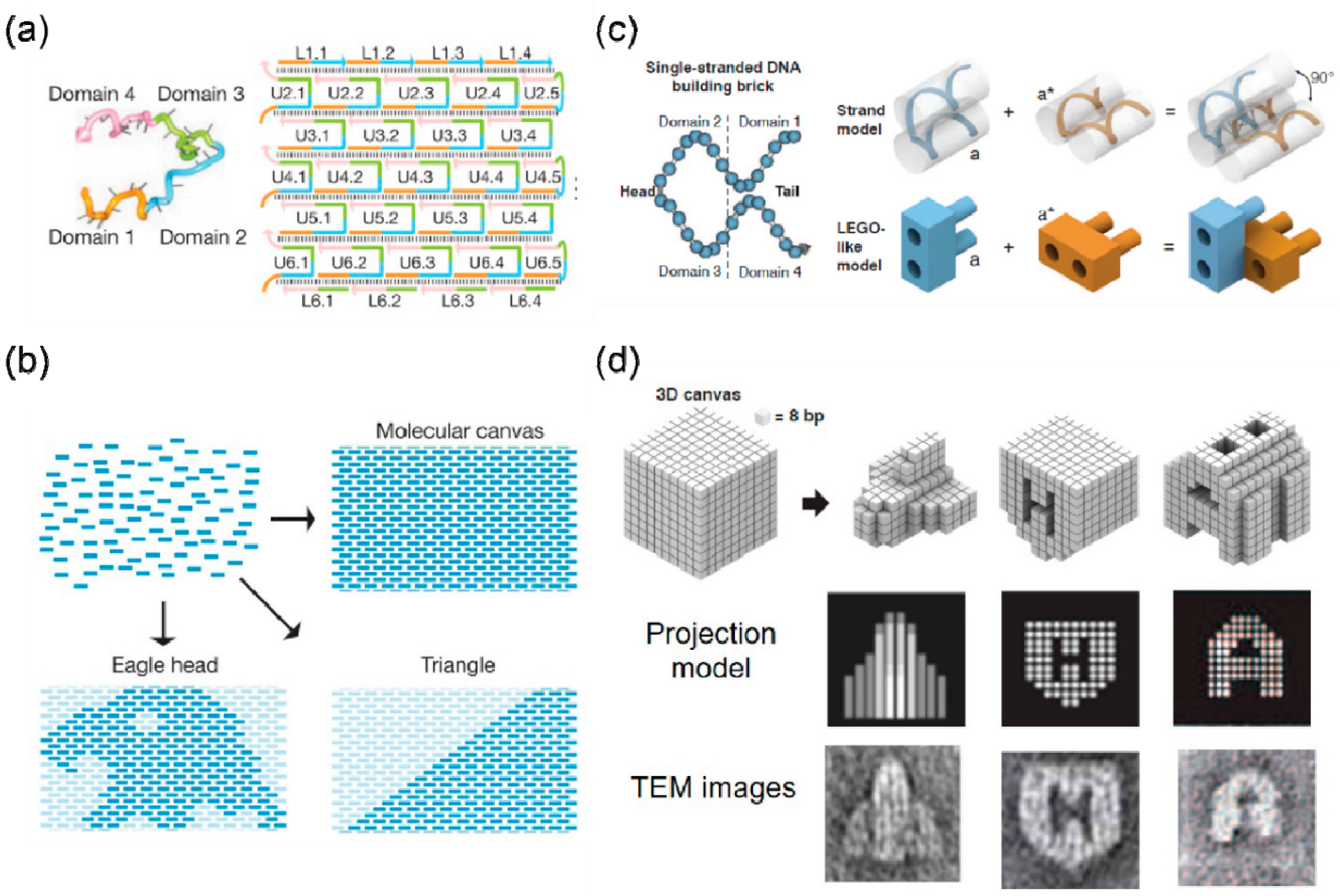 Nanomaterials 10 02047 g002