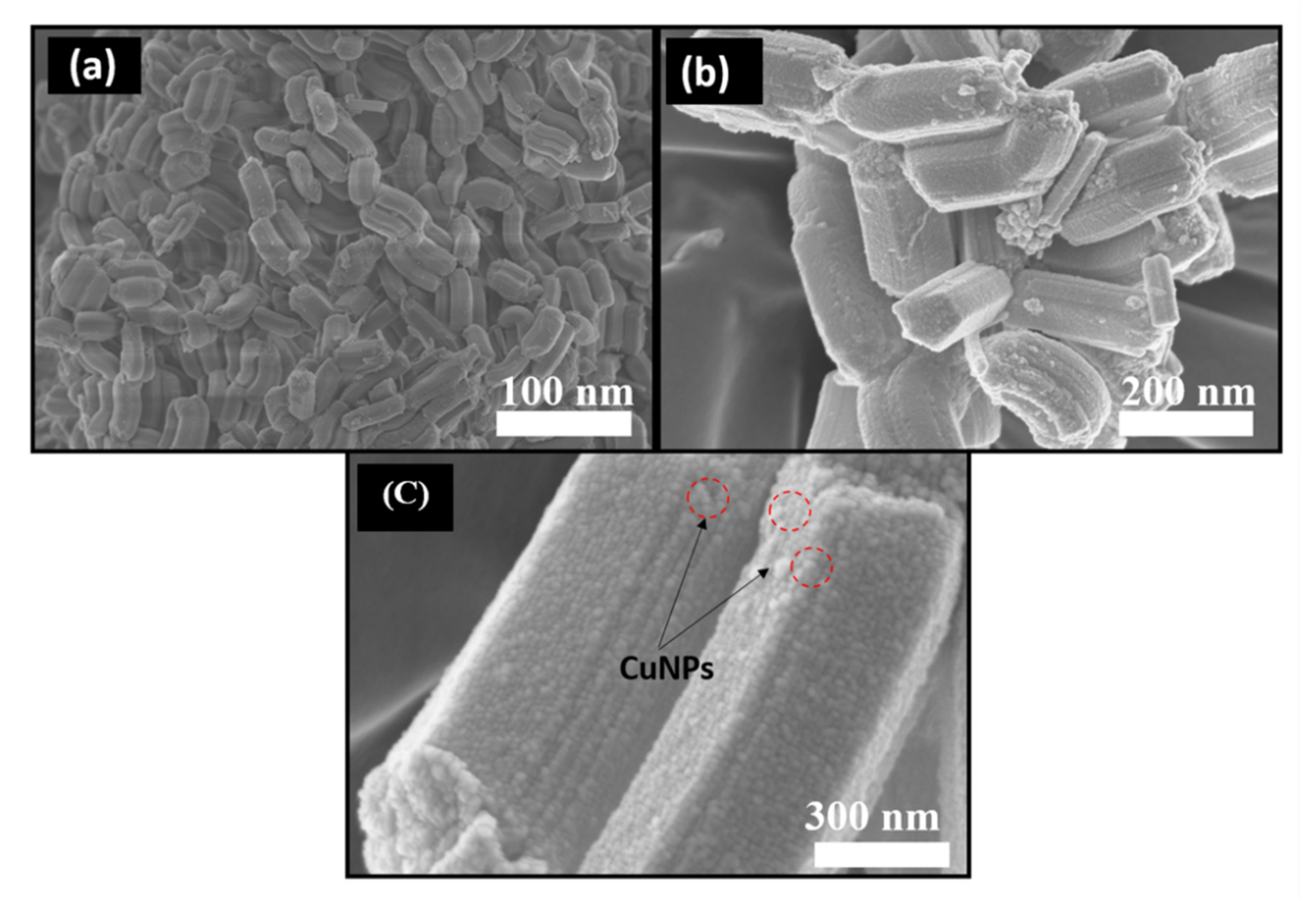 Nanomaterials 10 02051 g003