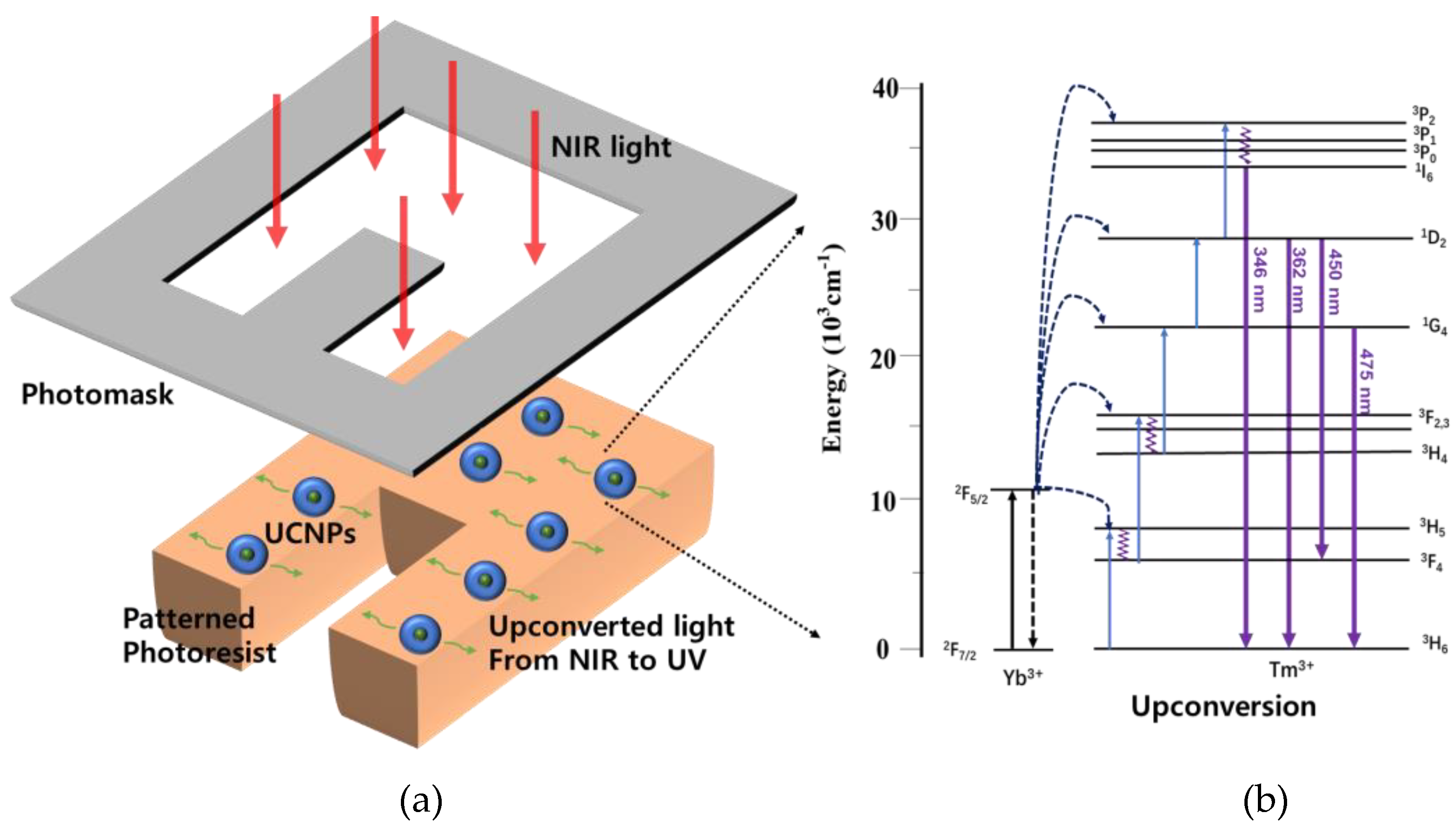 Nanomaterials 10 02054 g001 Nanomaterials 10 02054 g001