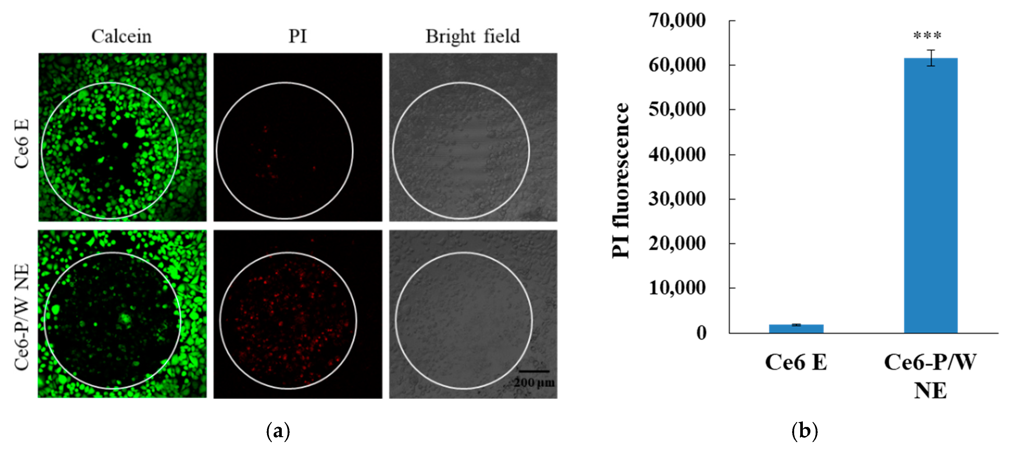 Nanomaterials 10 02058 g004 Nanomaterials 10 02058 g004