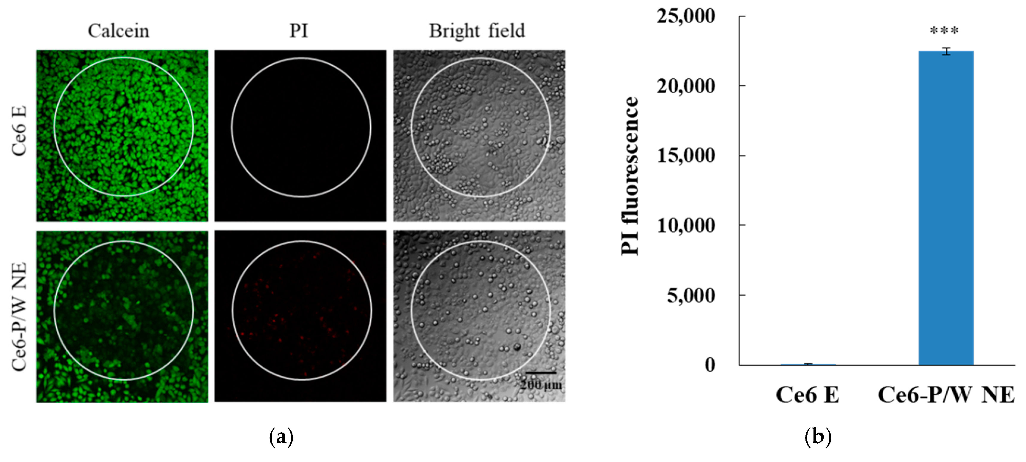 Nanomaterials 10 02058 g005 Nanomaterials 10 02058 g005