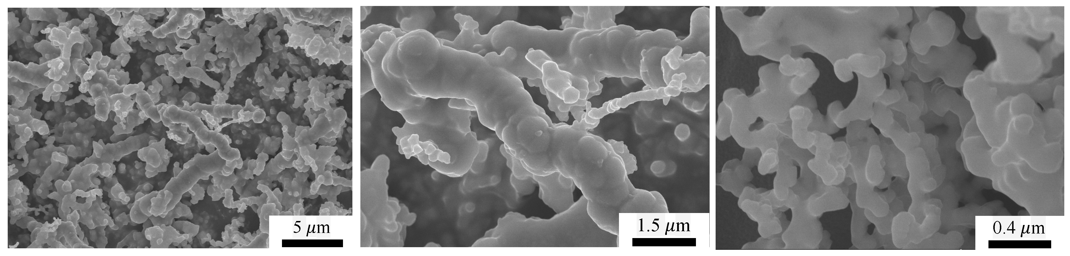 Nanomaterials 10 02060 g004