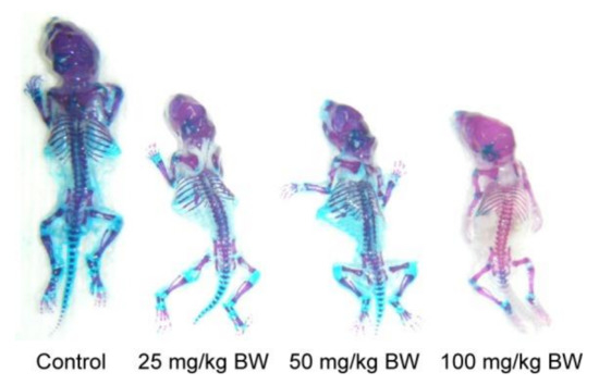 Are Titania Photocatalysts and Titanium Implants Safe