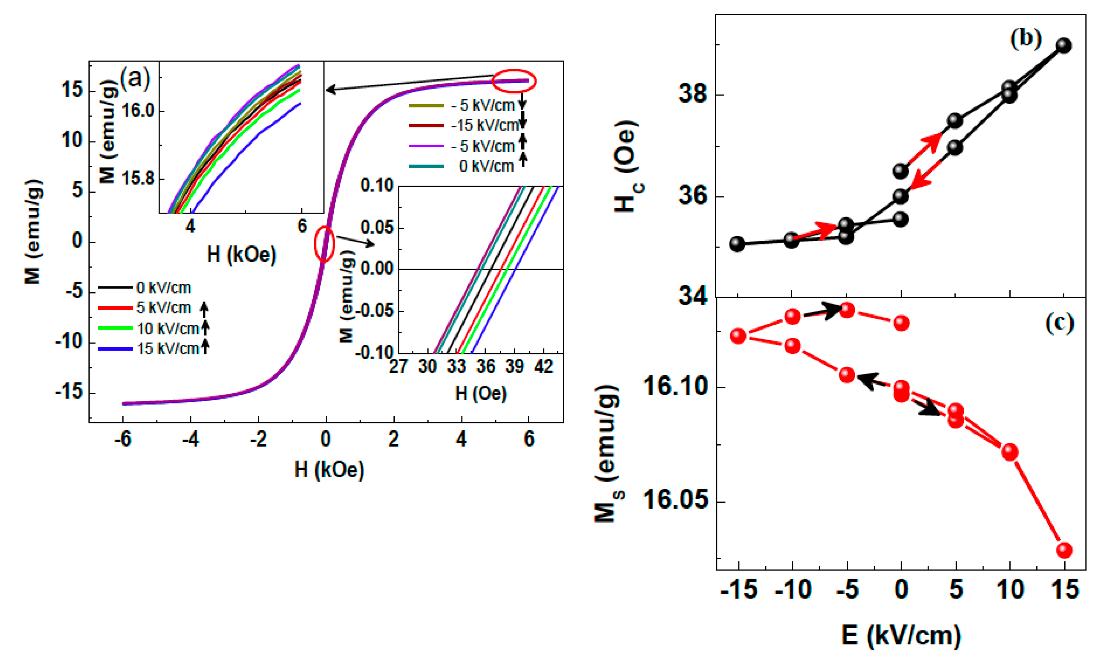 Nanomaterials 10 02072 g004