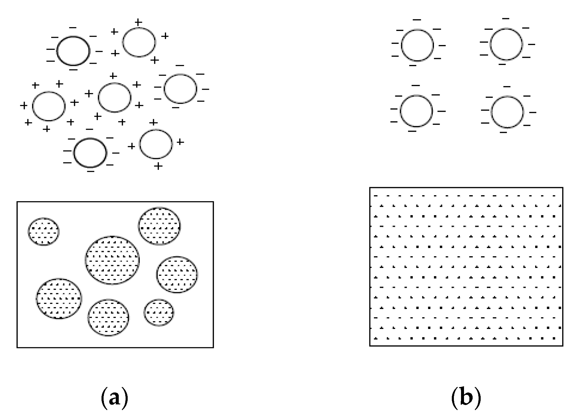 Nanomaterials 10 02076 g006