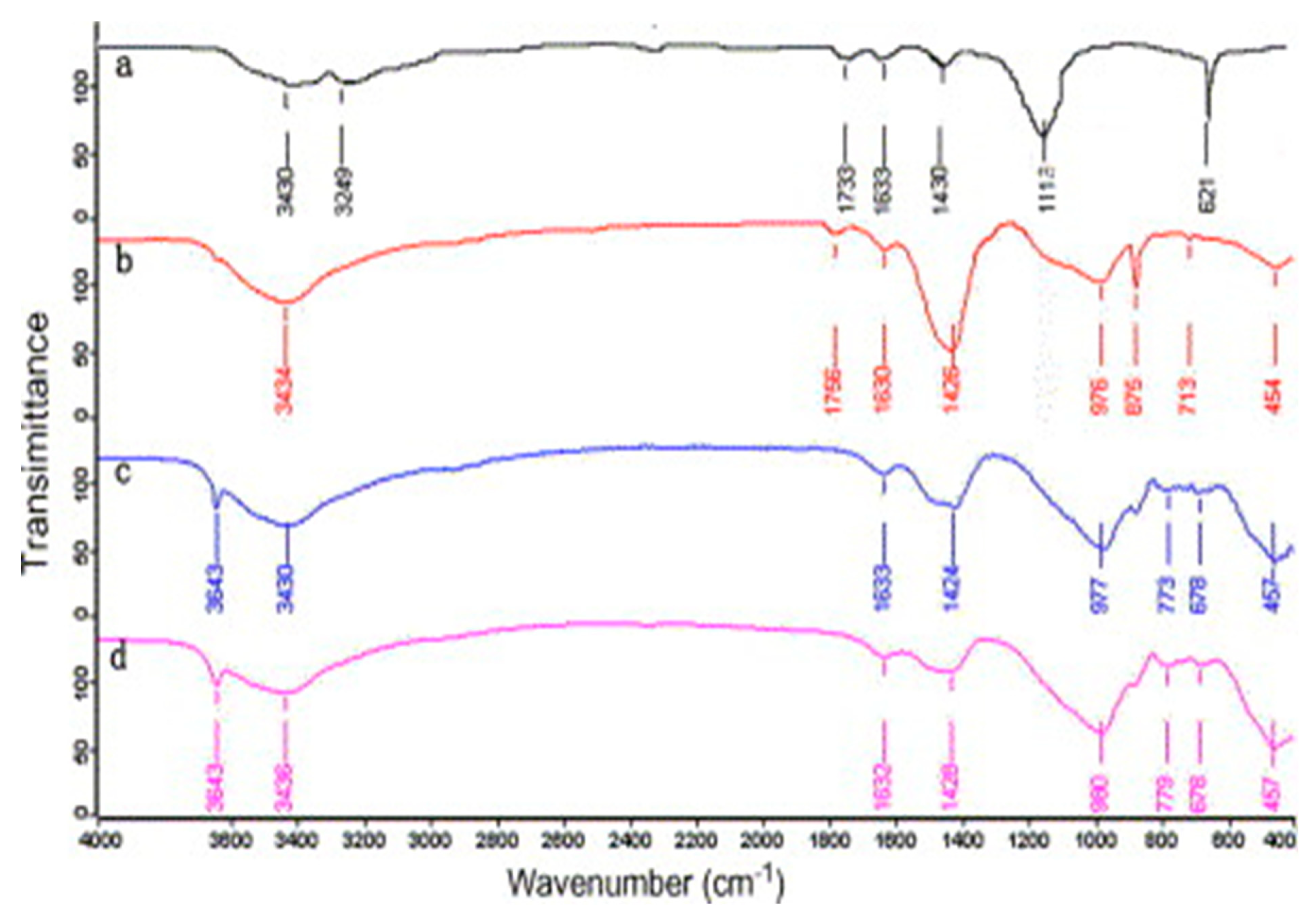 Nanomaterials 10 02076 g013