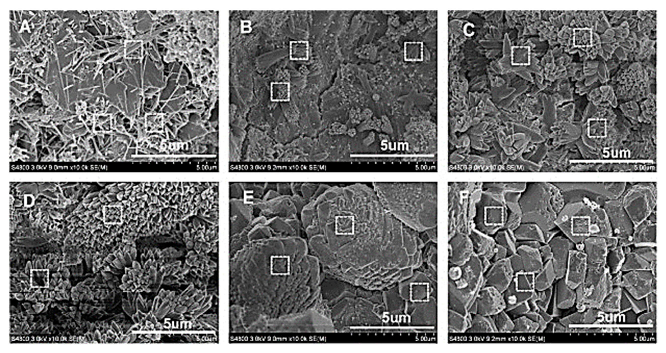 Nanomaterials 10 02076 g017