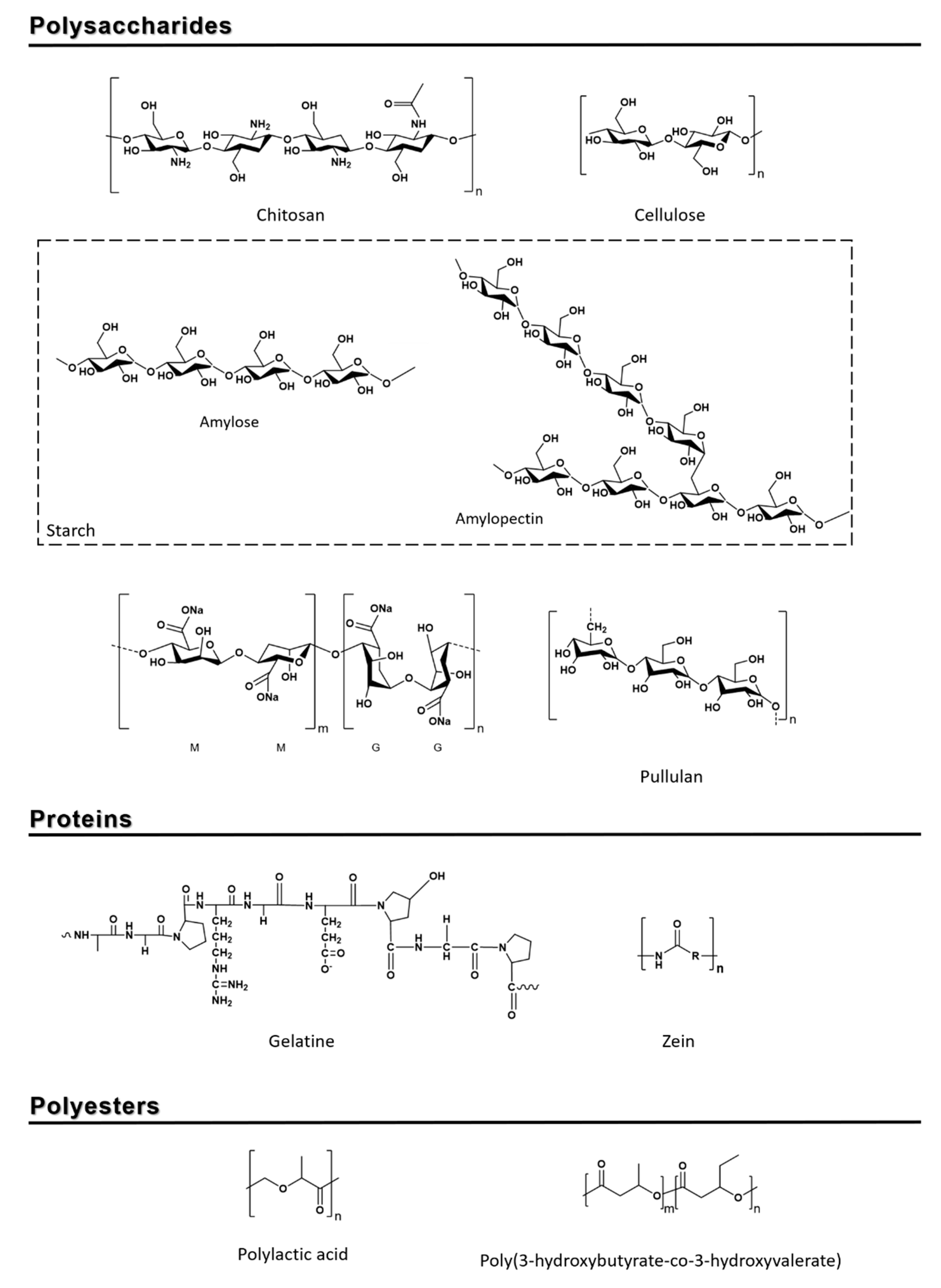 Nanomaterials 10 02077 g002