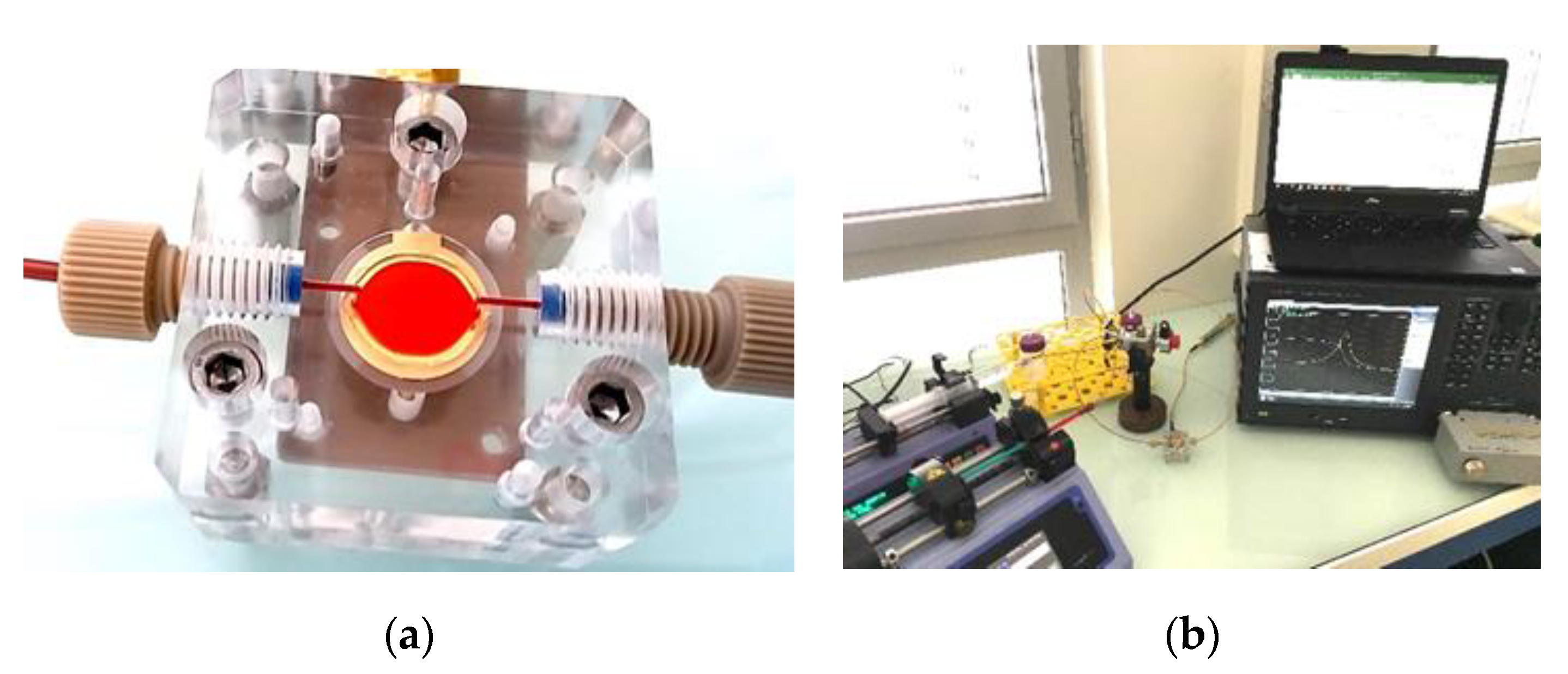 Nanomaterials 10 02079 g002