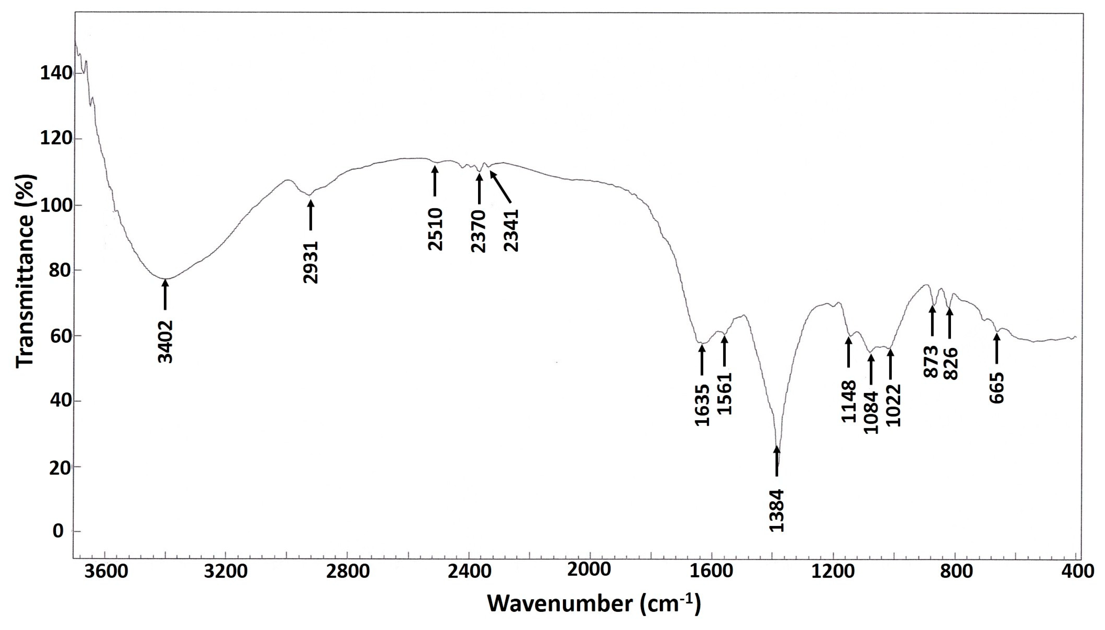 Nanomaterials 10 02082 g003
