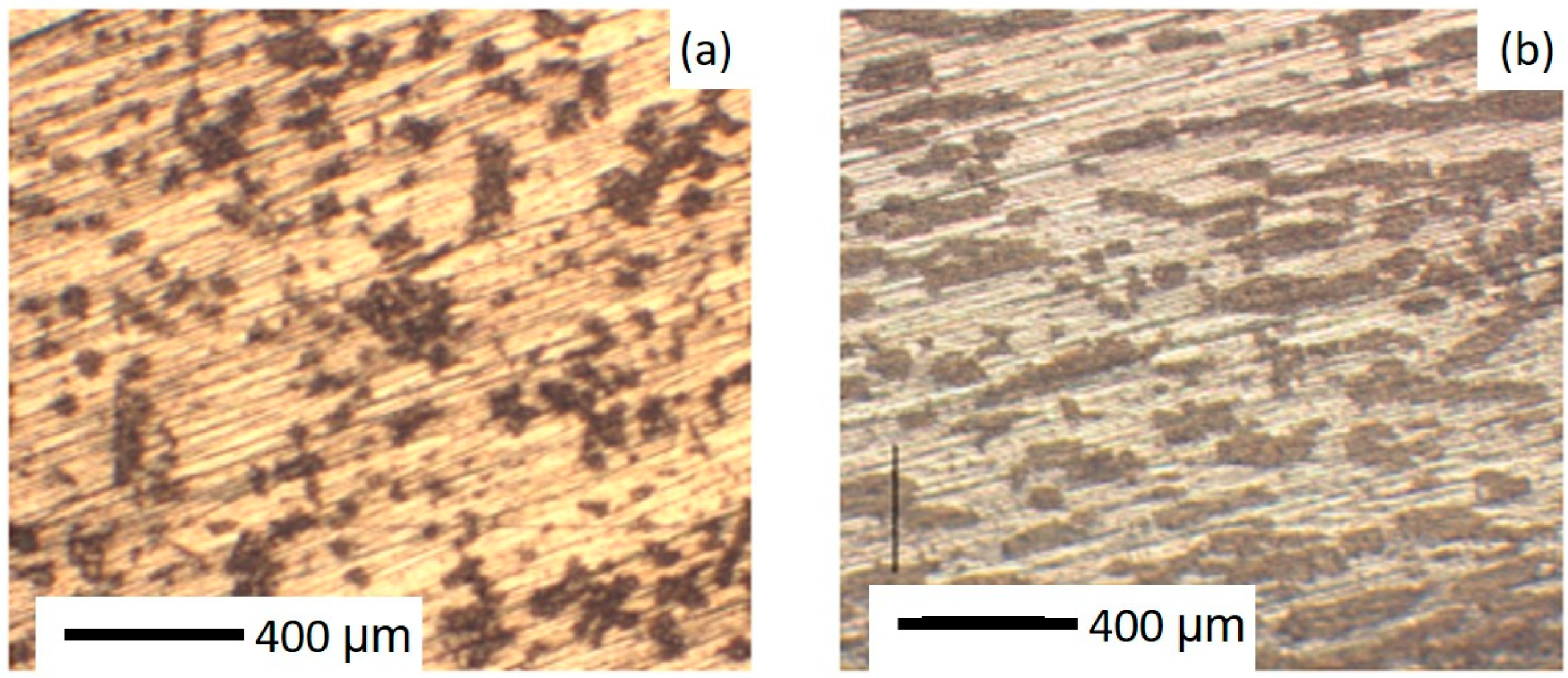 Nanomaterials 10 02083 g001
