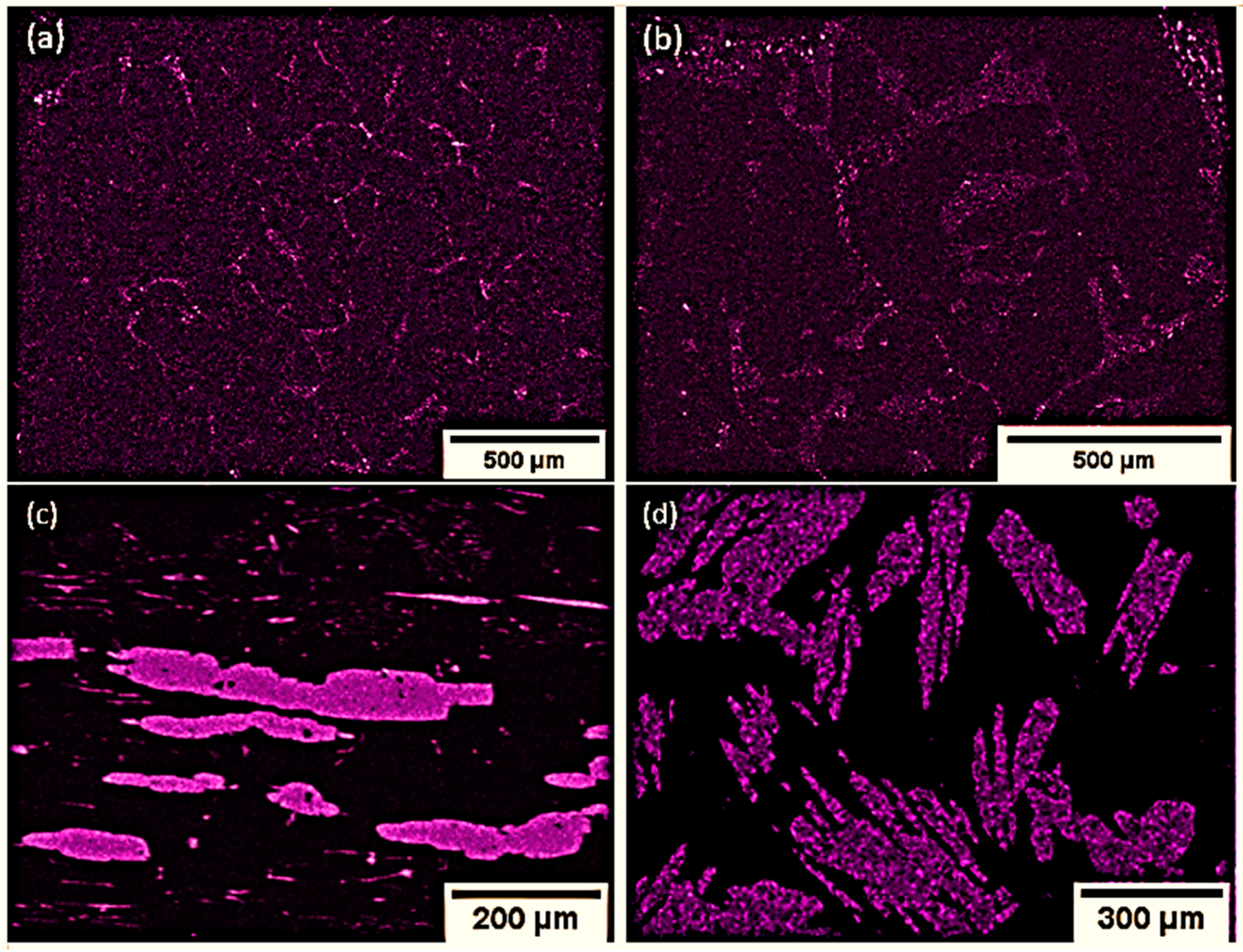 Nanomaterials 10 02083 g003