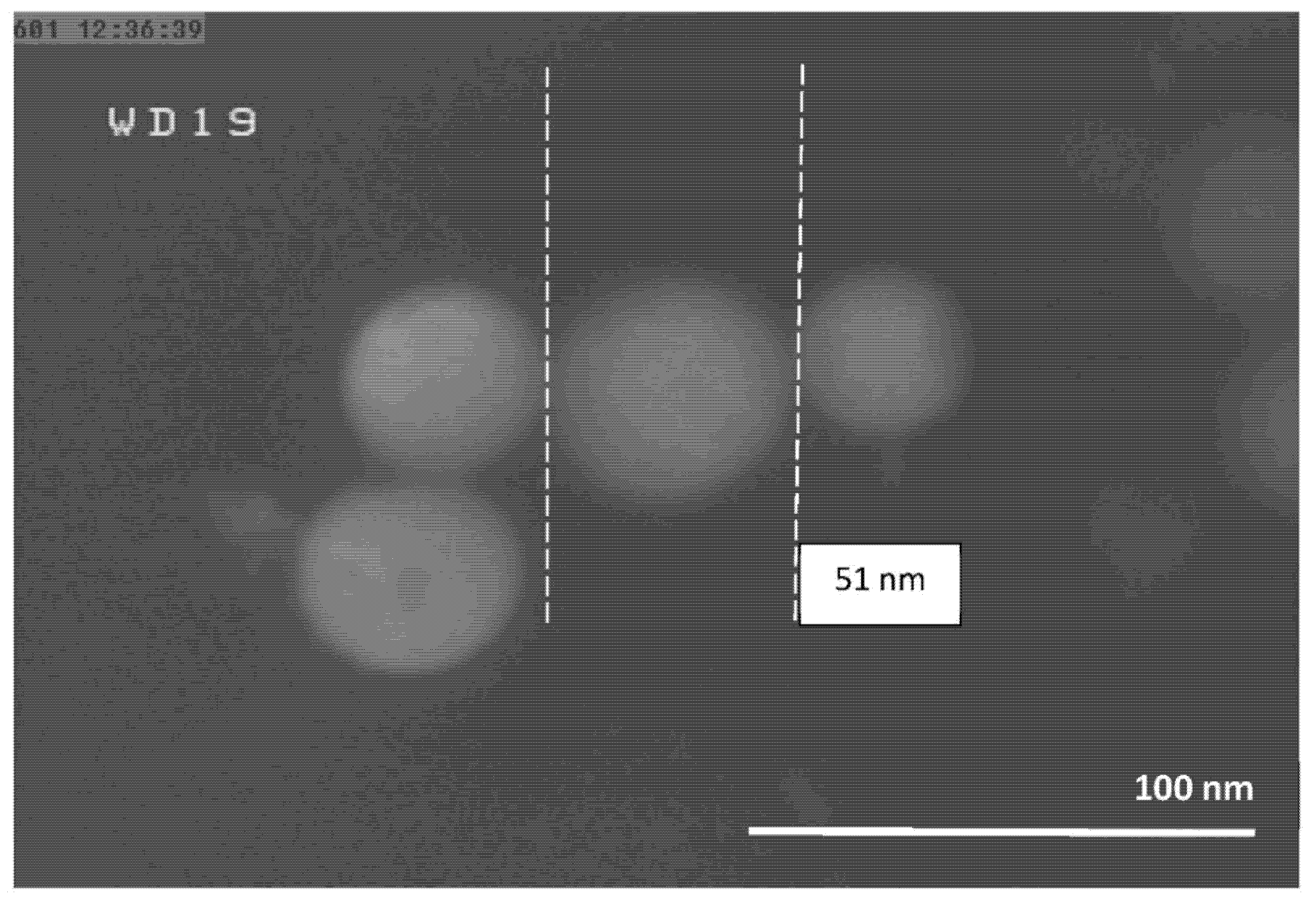 Nanomaterials 10 02084 g003