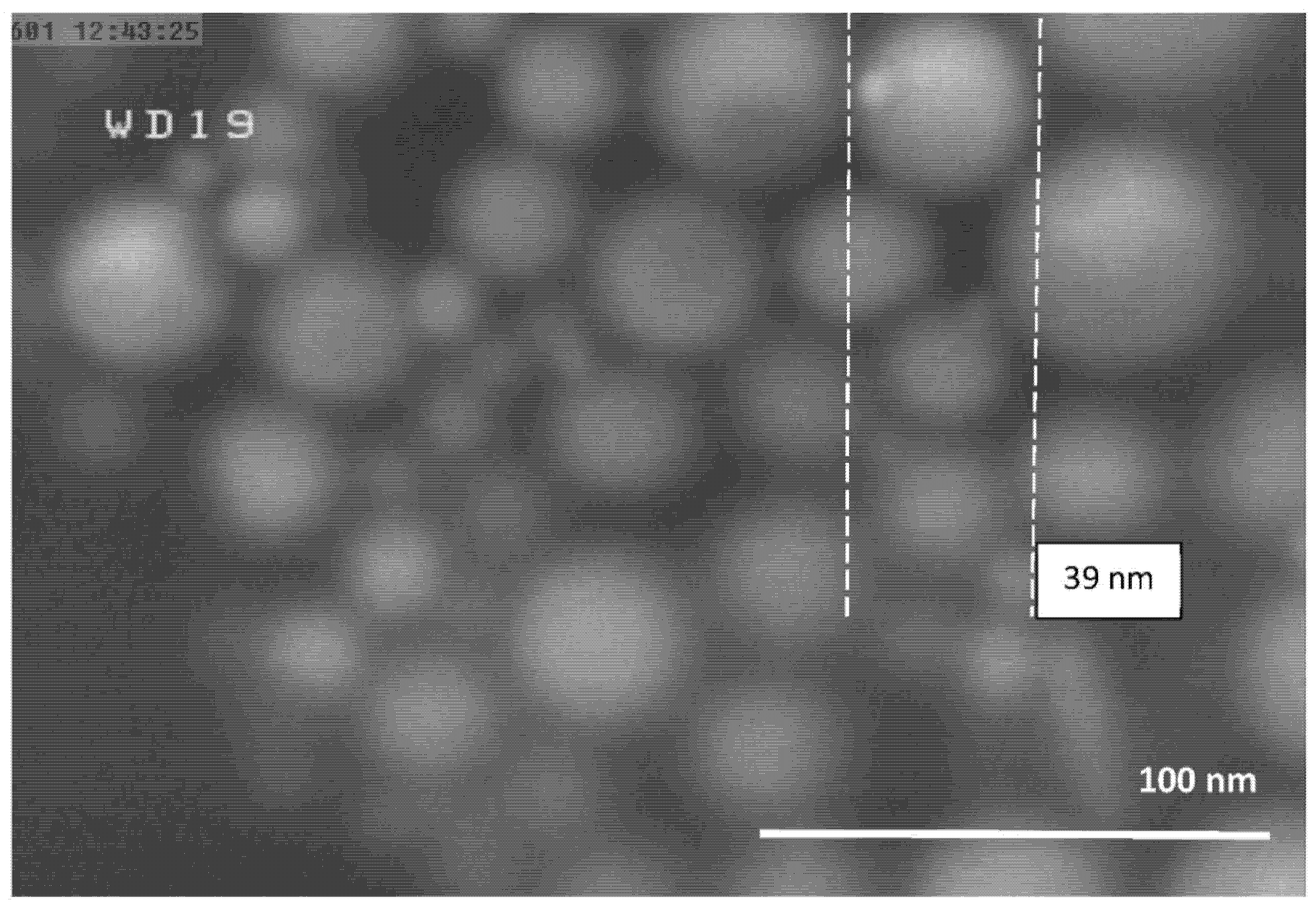Nanomaterials 10 02084 g004