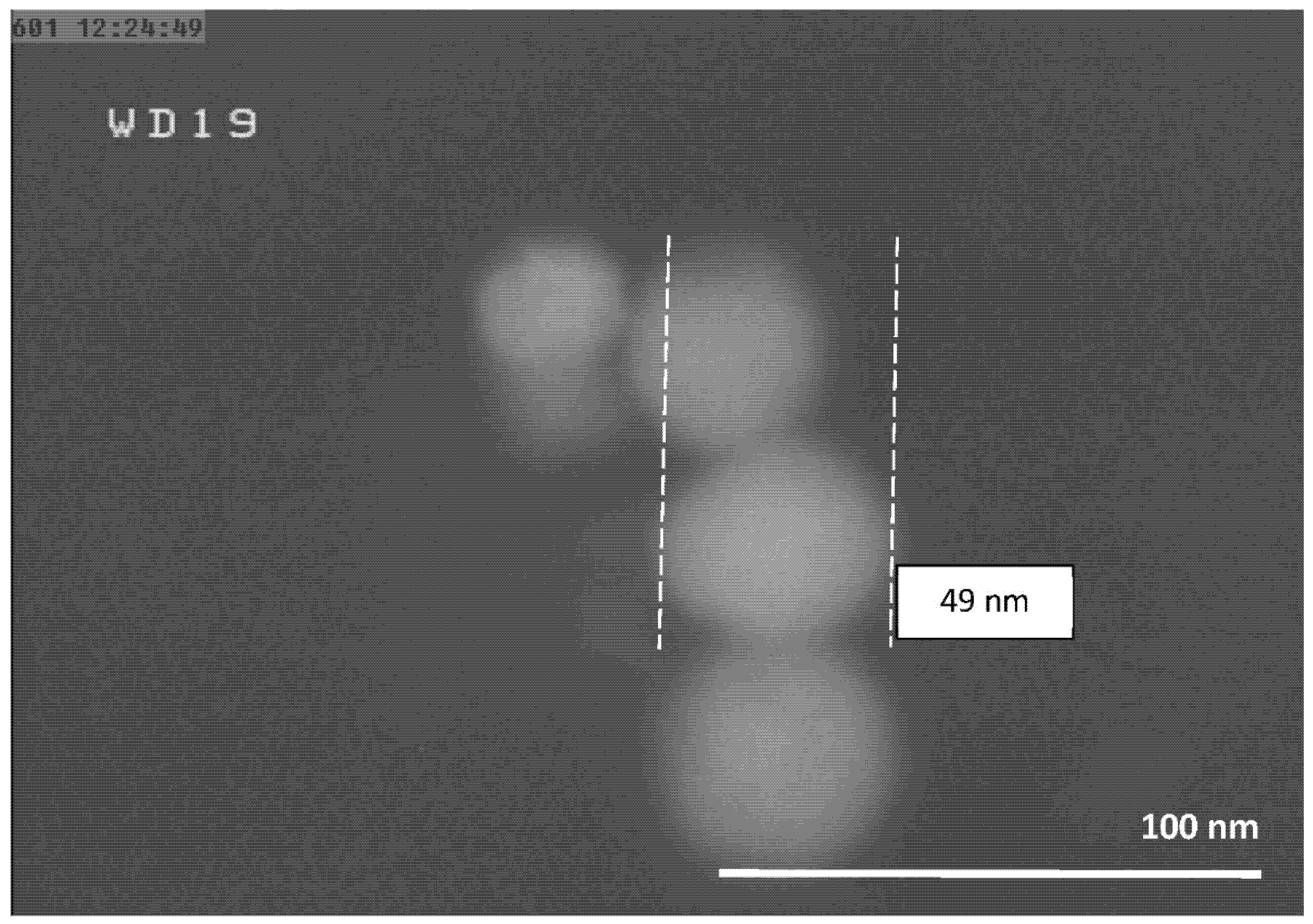 Nanomaterials 10 02084 g005